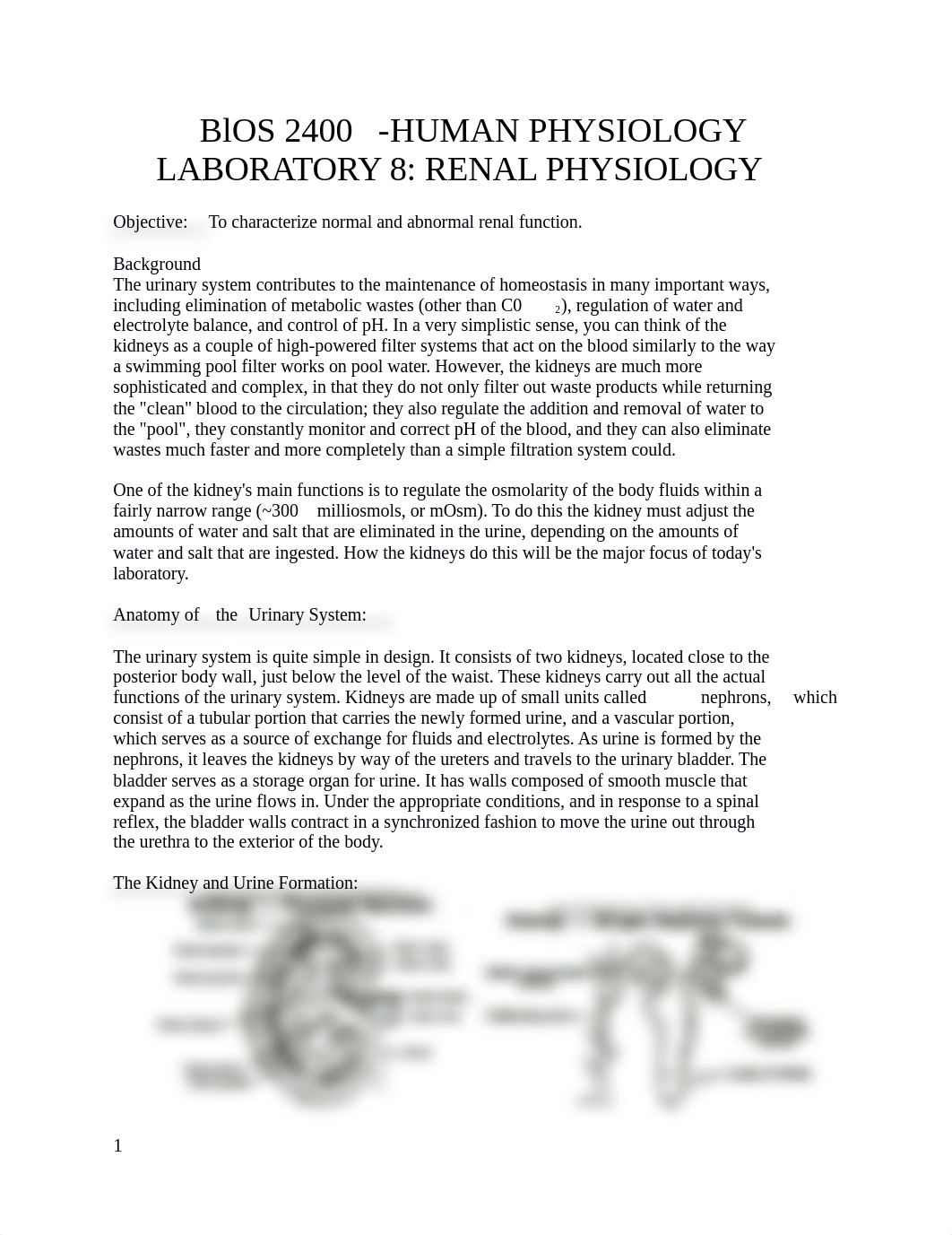 lab 8 - renal phys.docx_dsix3e1qcbl_page1