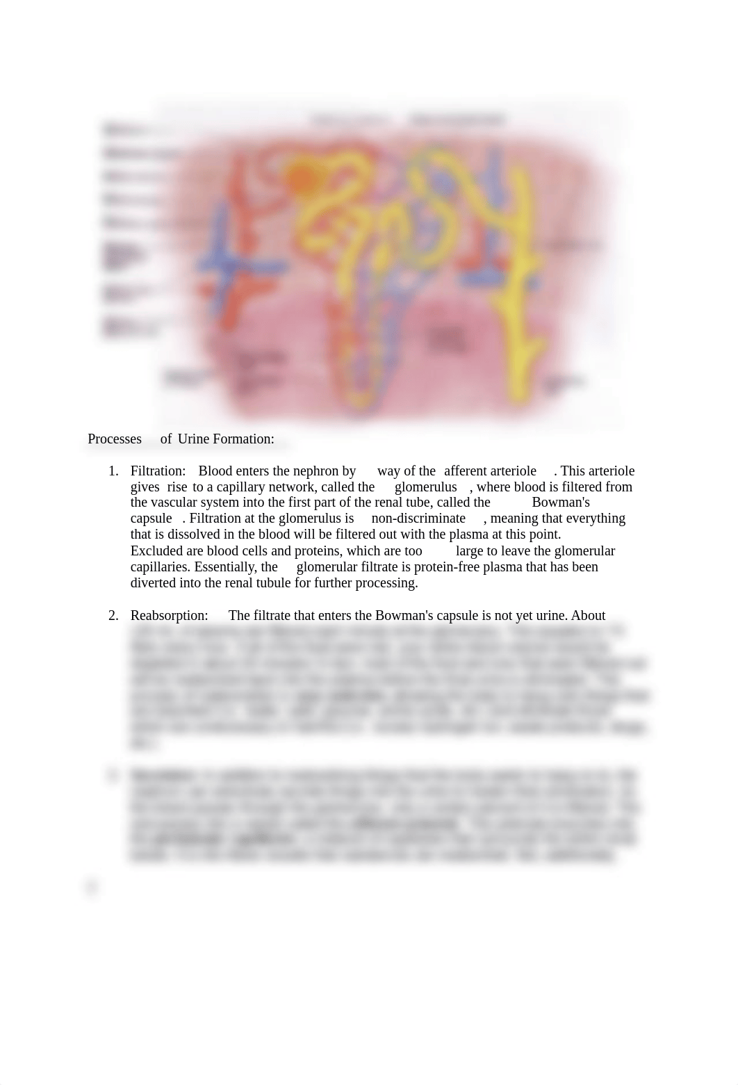 lab 8 - renal phys.docx_dsix3e1qcbl_page2