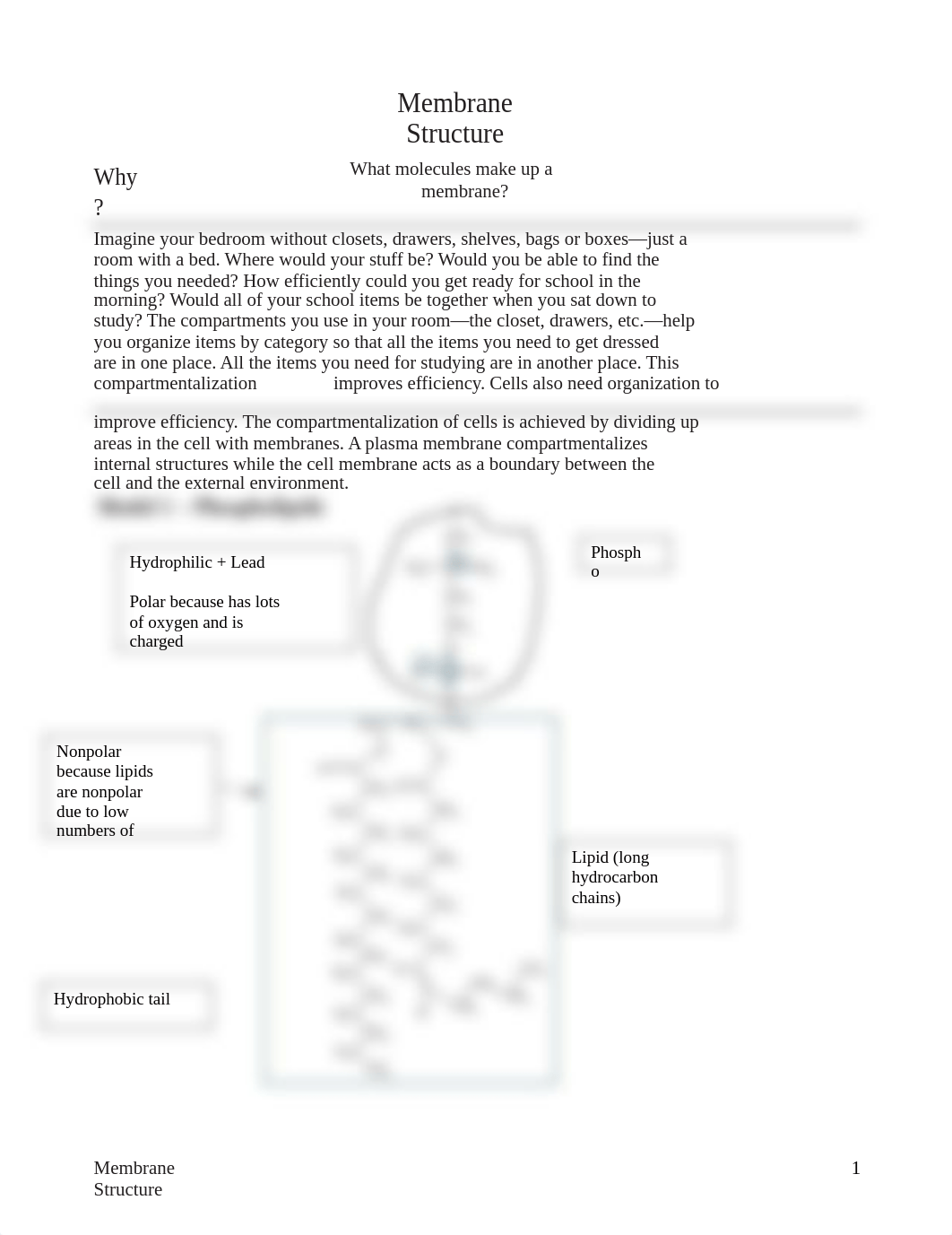 Membrane Structure Answers-ADAC.docx_dsj4q19n9um_page1