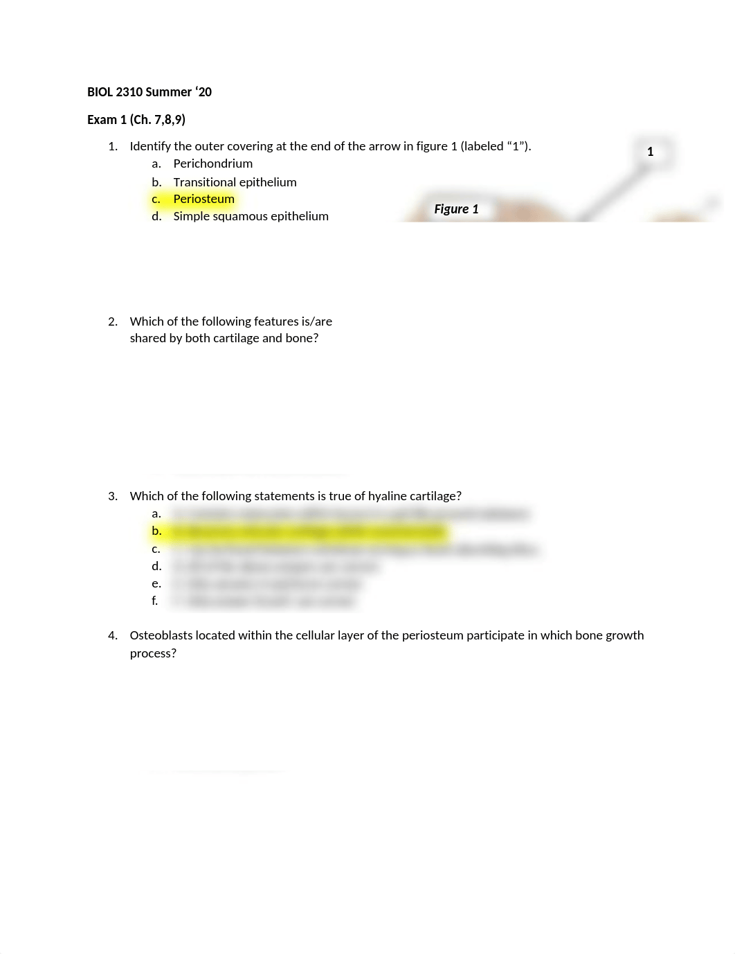 BIOL 2310 Summer 20 Exam 2.docx_dsj9s52uxpx_page1