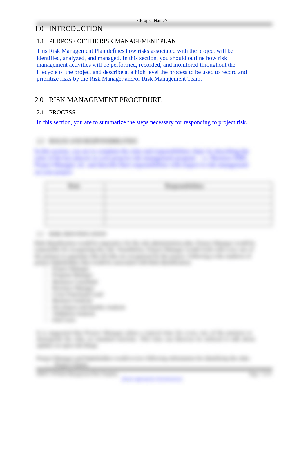 Risk Management Plan Template Group A.doc_dsjcnokuw0b_page4