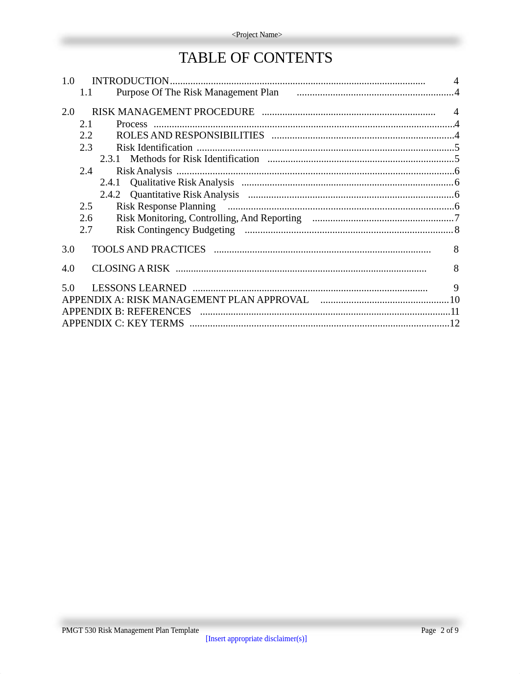 Risk Management Plan Template Group A.doc_dsjcnokuw0b_page3