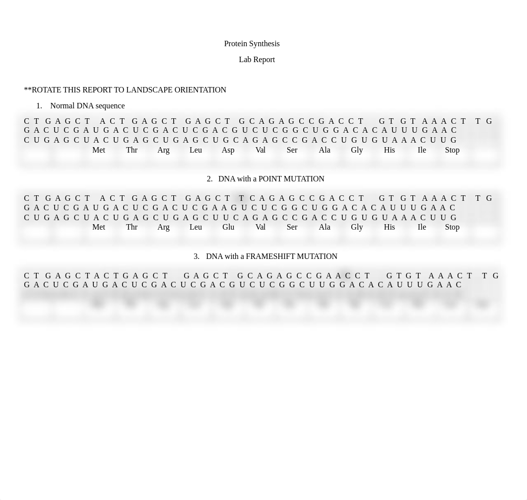 LabReportProteinSynthesis (1).docx_dsjj9pvxqdy_page1