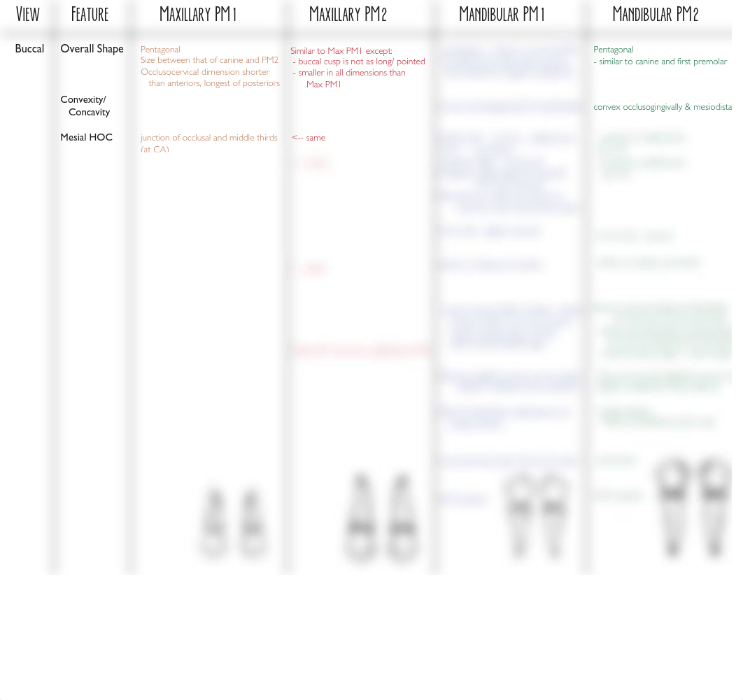 Premolars.pdf_dsjmrjumcac_page2