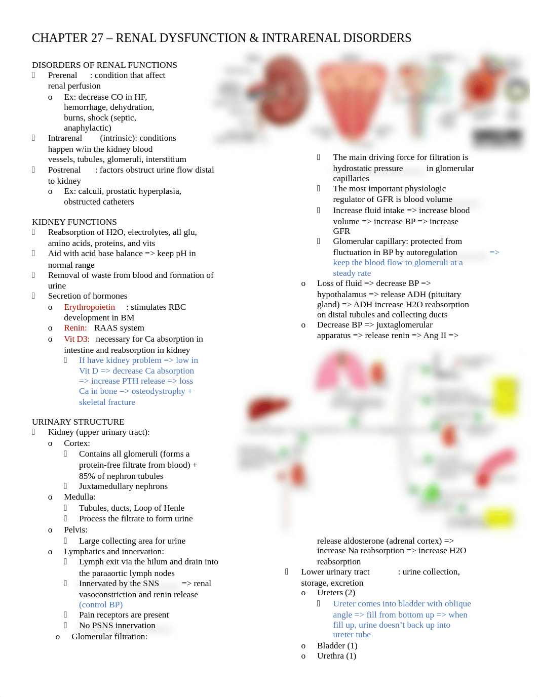 N520 Exam 5 renal disease note.docx_dsjwp76wipn_page1