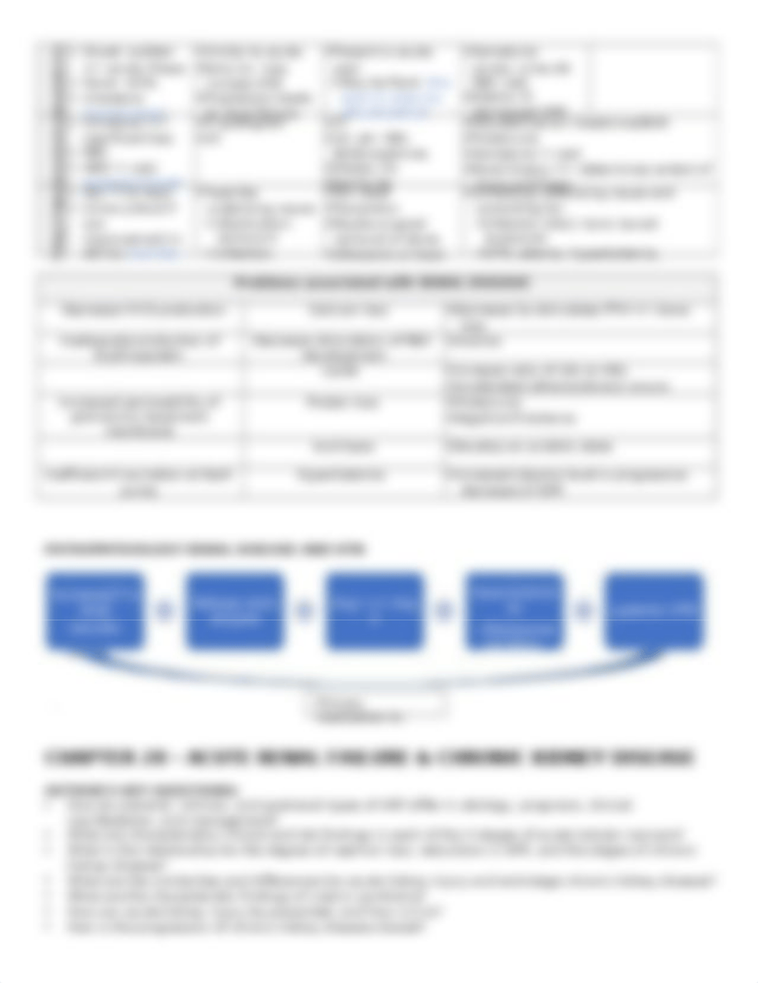 N520 Exam 5 renal disease note.docx_dsjwp76wipn_page4