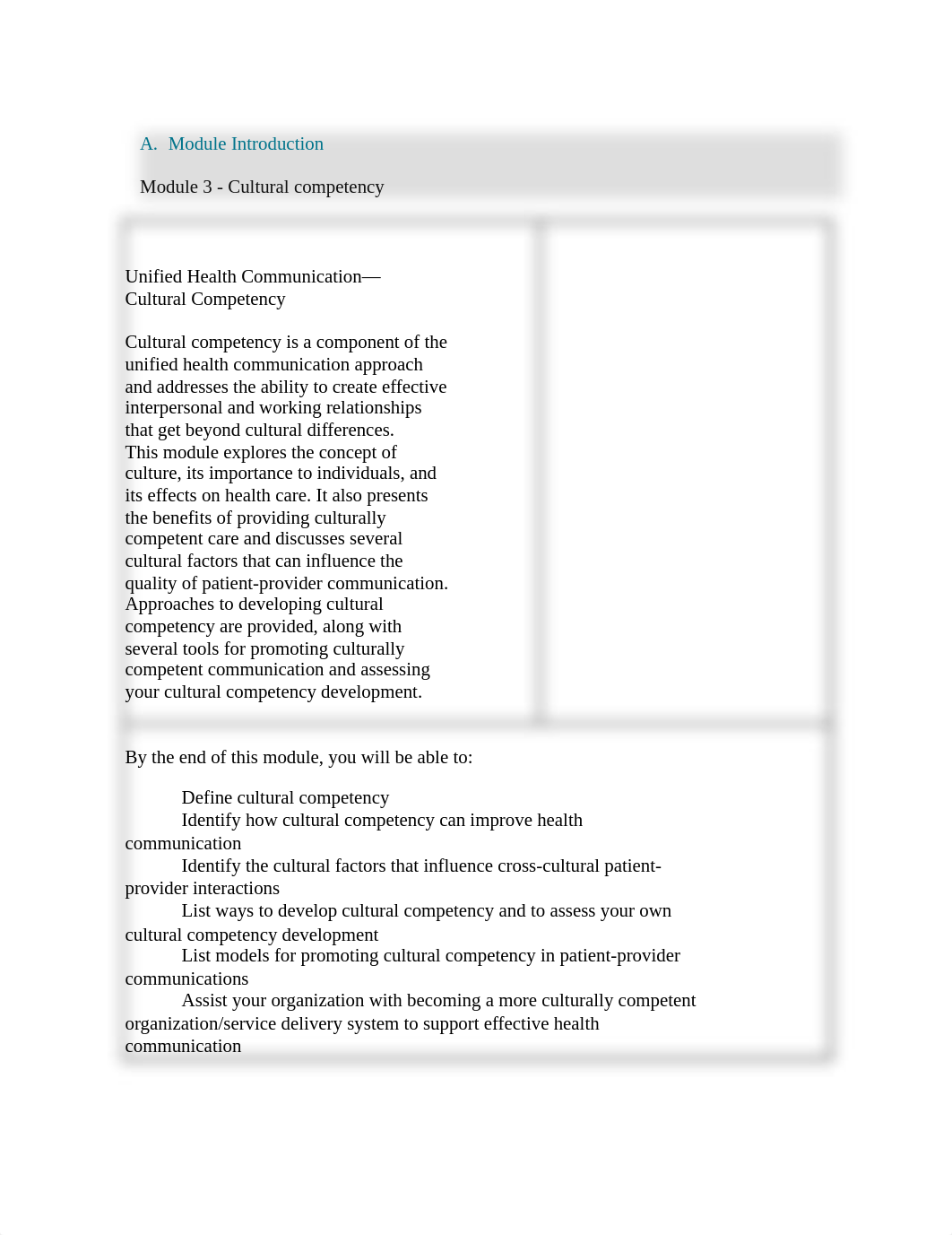 Module 3 Cultural Competency_dsk1icg4z7l_page1