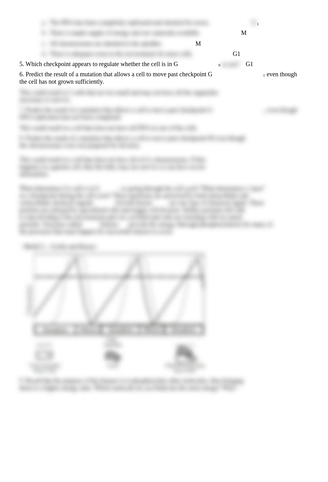 LA#15 Cell Cycle & Mitosis.docx_dsk3a6glur5_page2