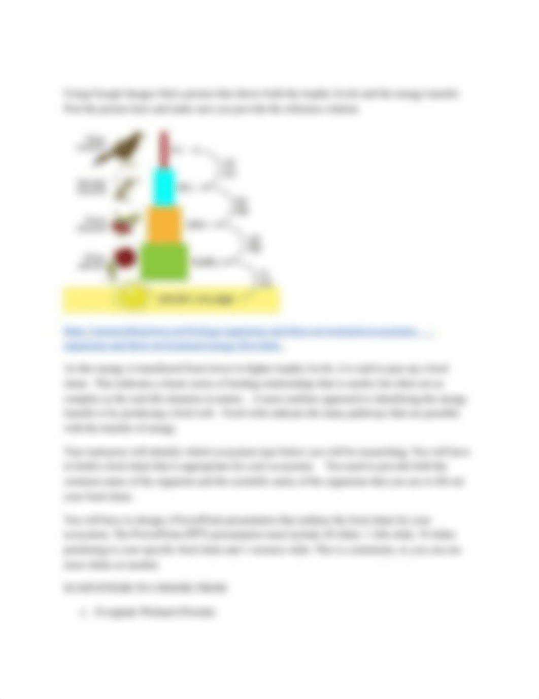 Lab_8_-_Energy_Flow_through_Ecosystems_dsk3qrpa5gw_page2