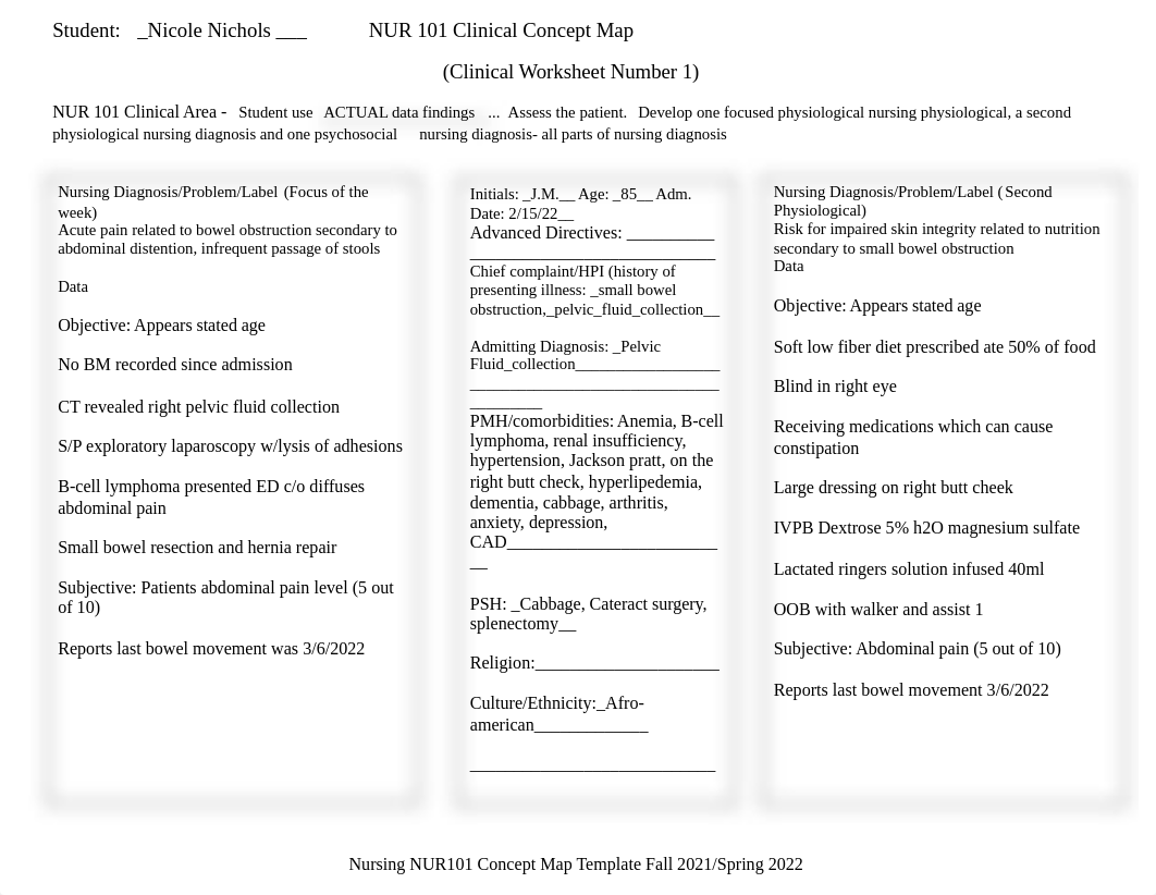 NUR101Fall2021_Sp22ConceptMapTemplate.docx_dsk7j2g51cx_page1