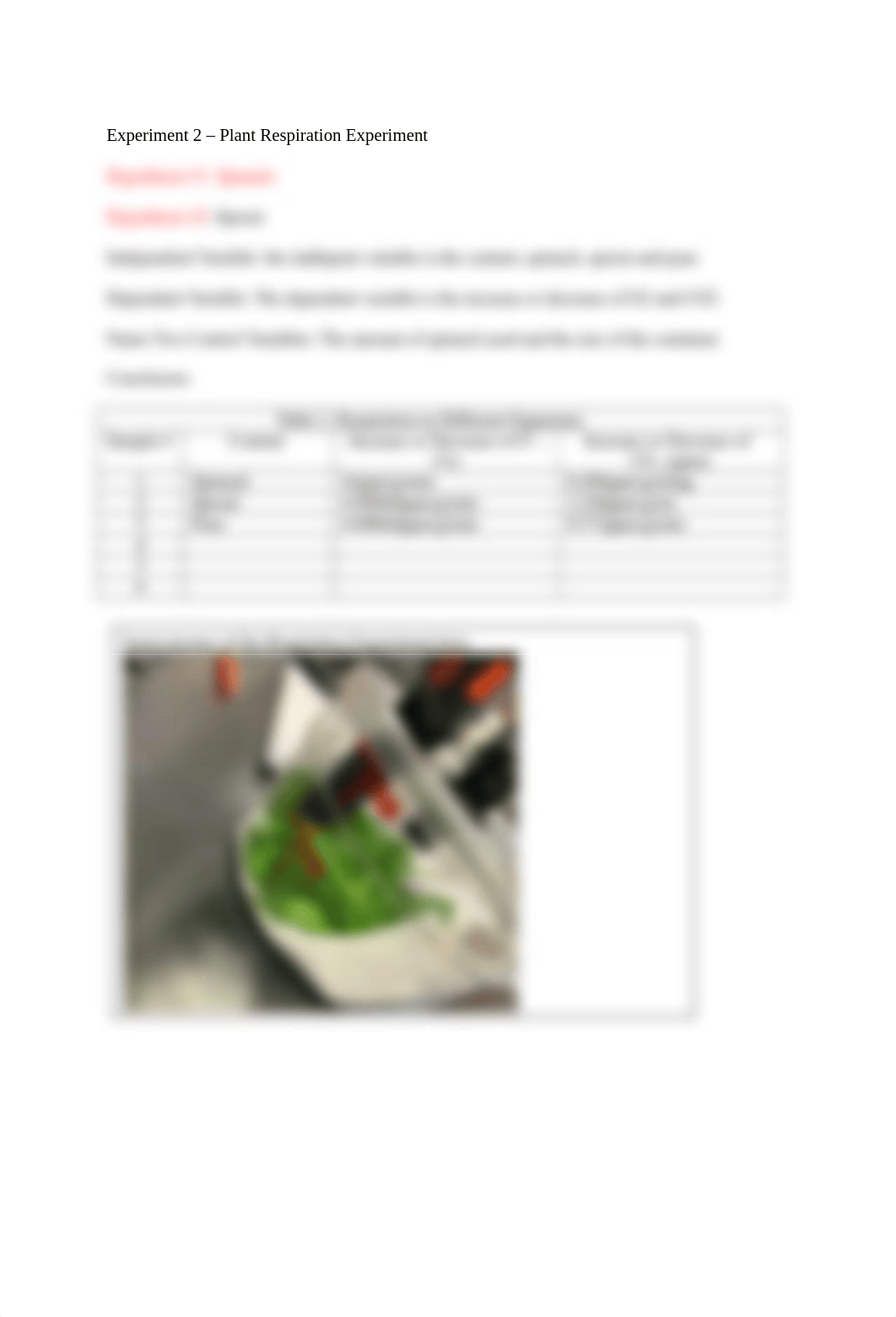 8-Respiration and Fermentation Worksheet.docx_dsk7qq54znz_page2