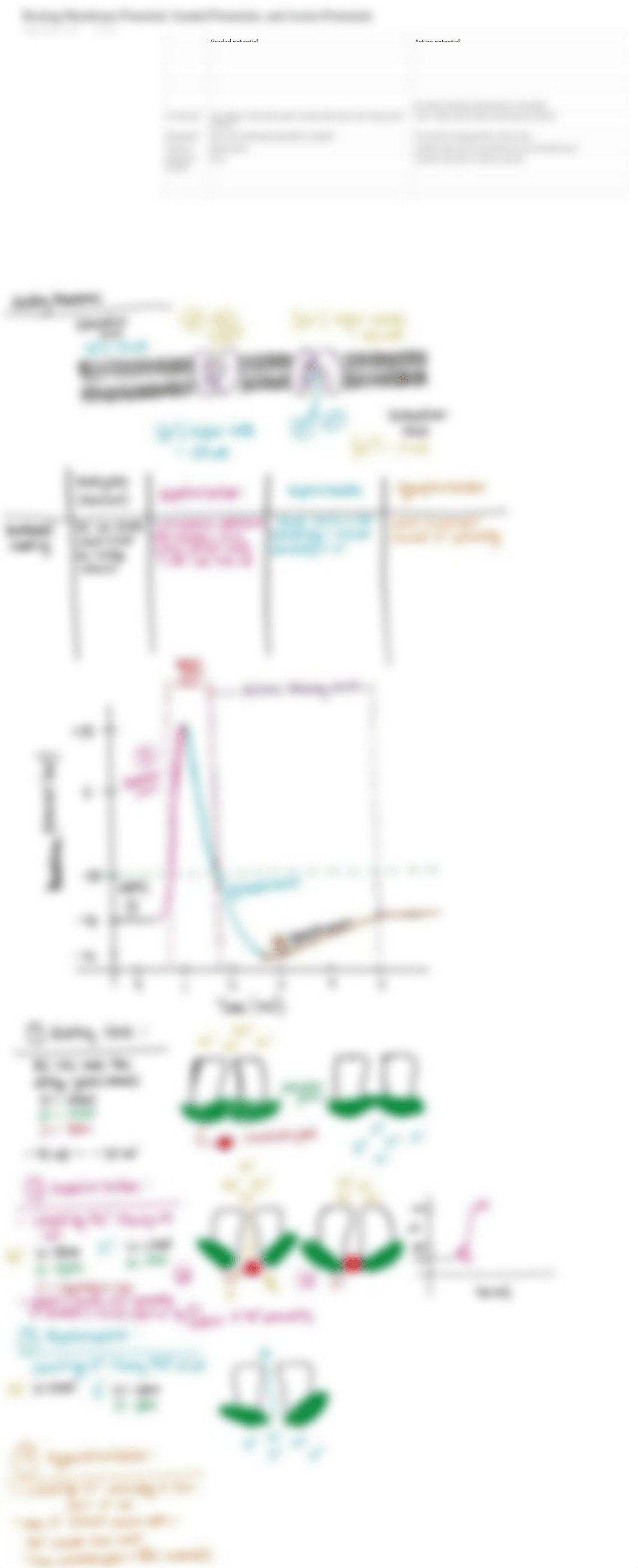 Resting Membrane Potential, Graded Potentials, and Action Potentials.pdf_dsk9fq11m27_page1