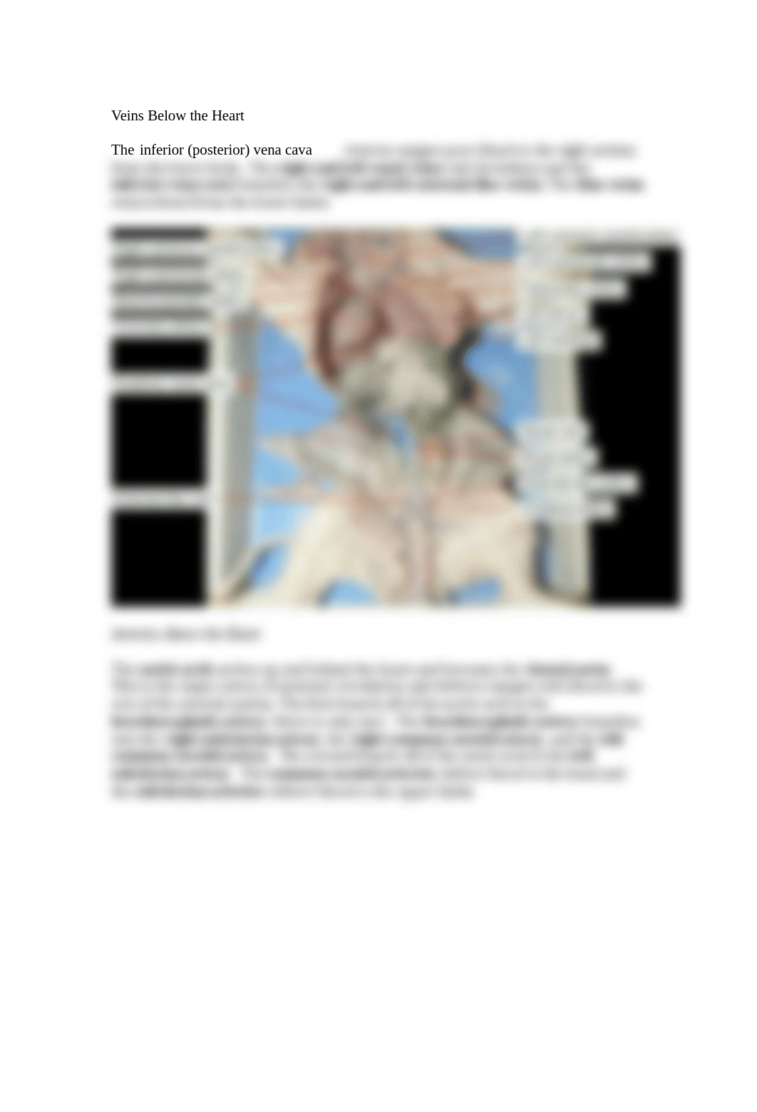 Circulatory System Lab Report      (1).docx_dskkr2b1cfs_page2