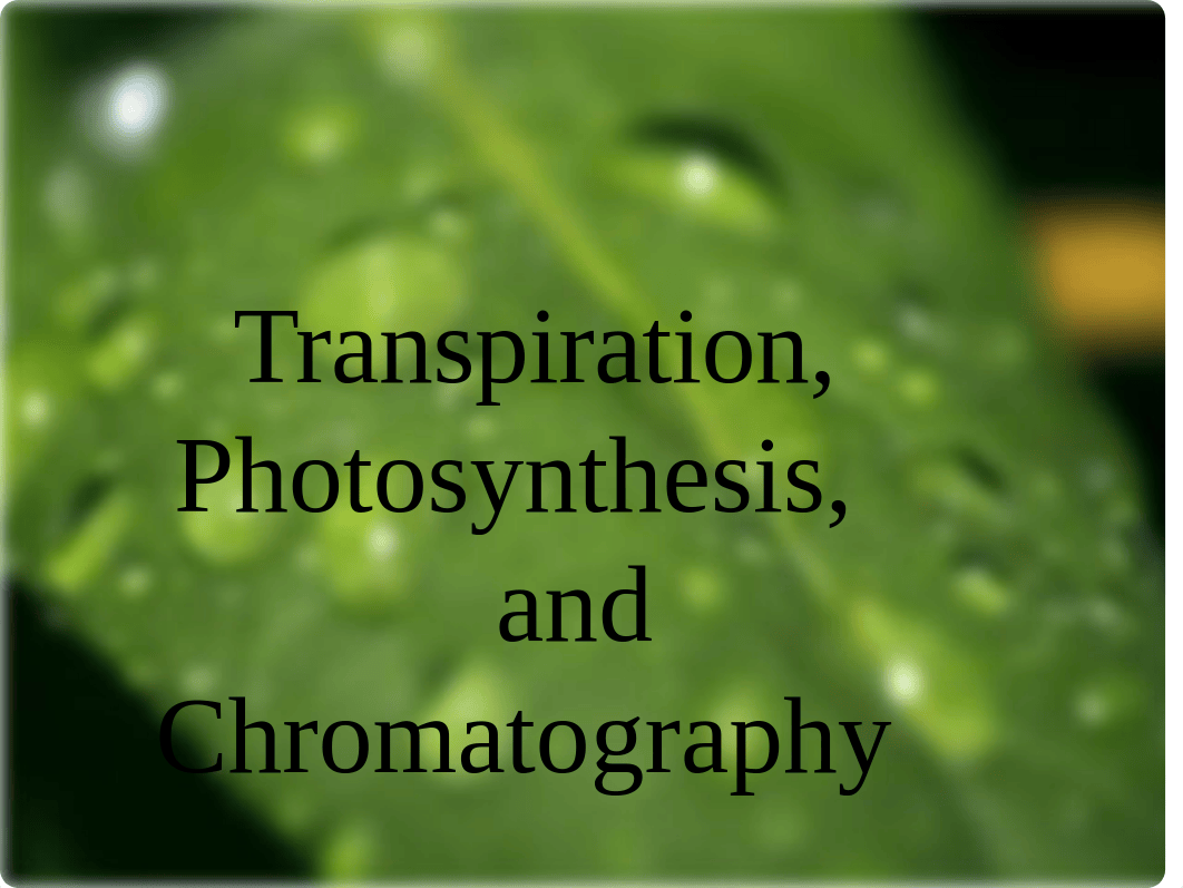 Transpiration, Photosynthesis, and Chromatography_dsknhw1rwt5_page1