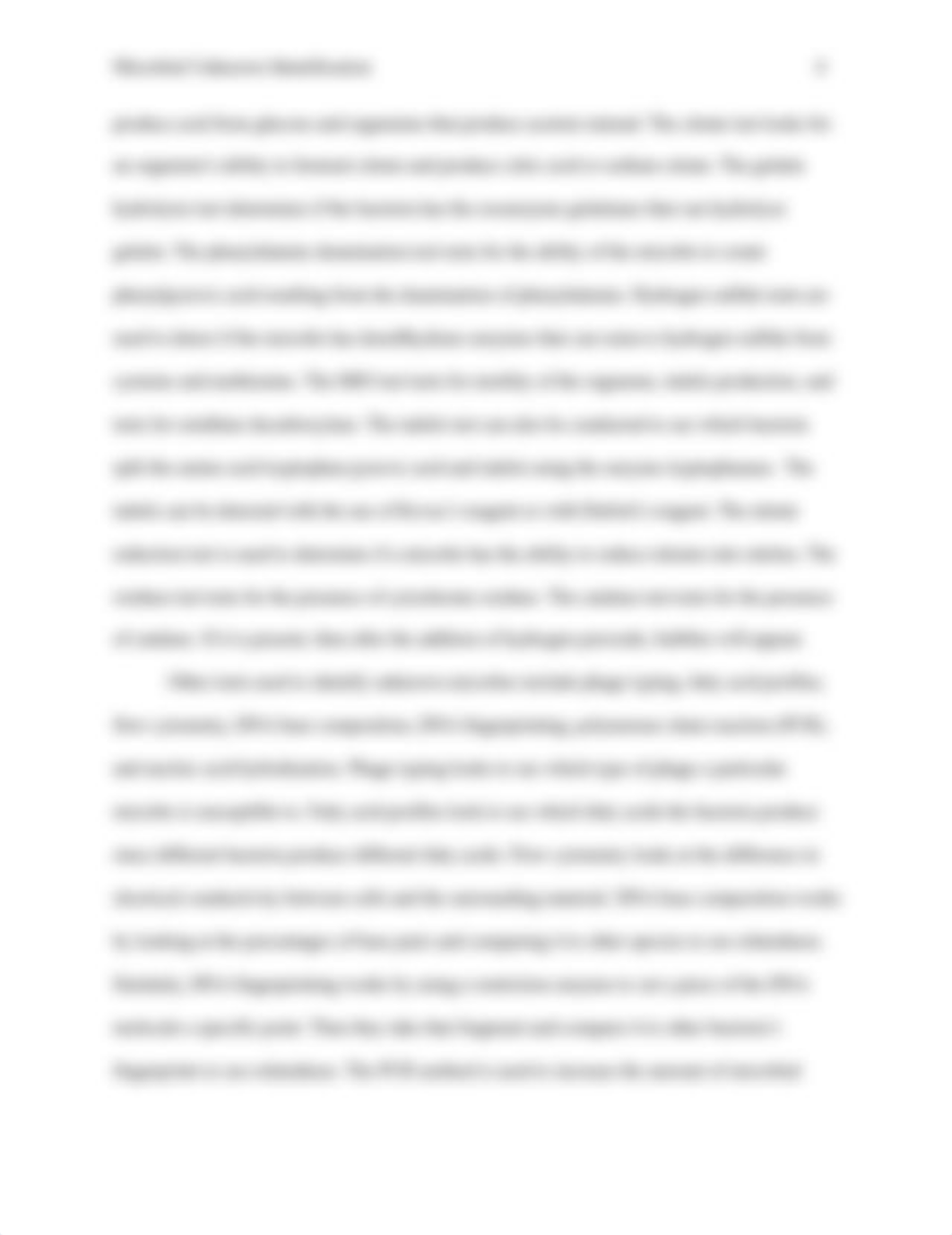 Unknown Microbe Assignment Finished New.docx_dskp4784ewy_page4