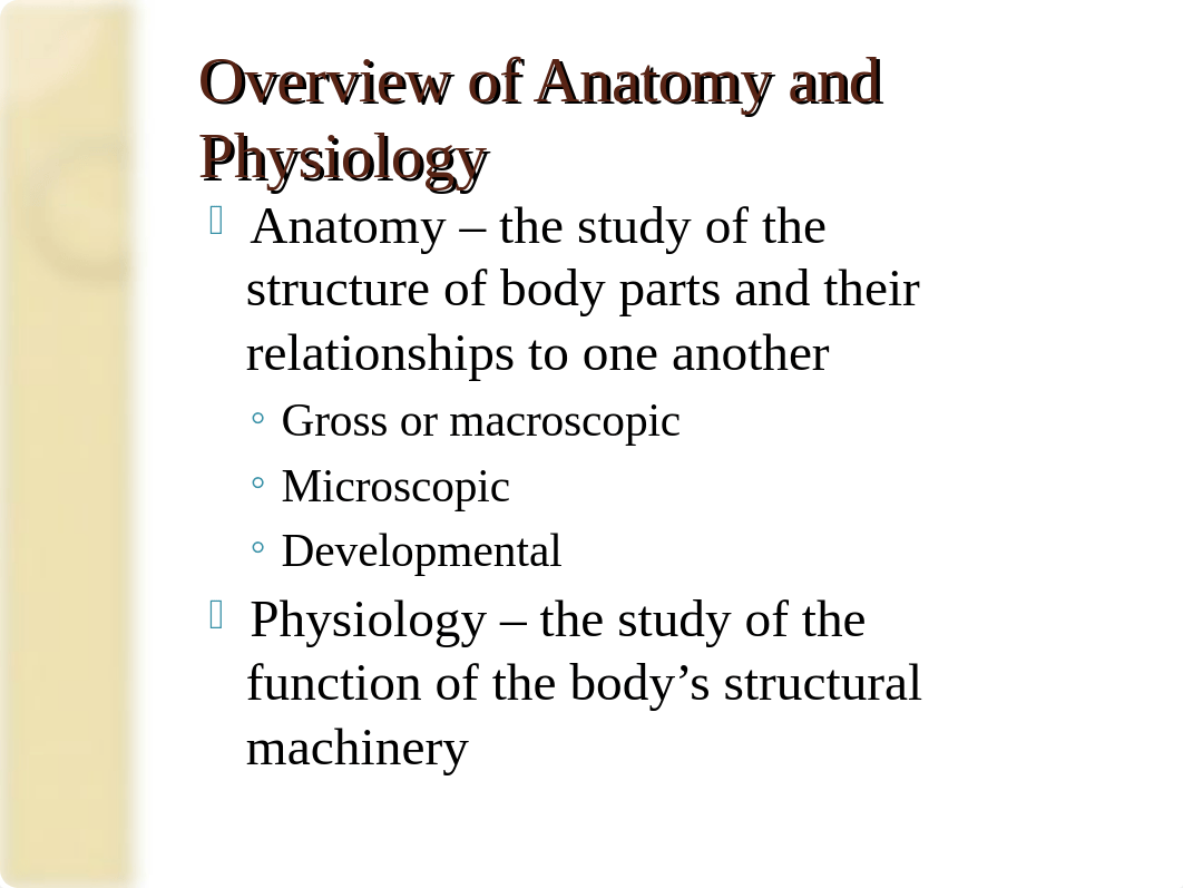 Unit 1 - The Human Body - An Orientation_dskpb09wjbv_page2