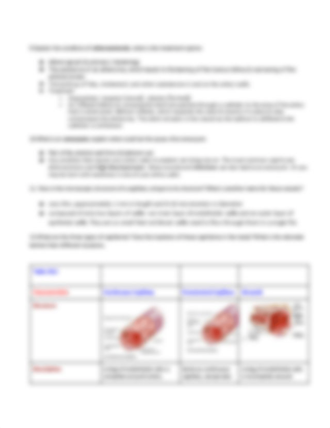 Lecture Exam II   Review vessels and circulation.pdf_dskr6fveoe8_page4