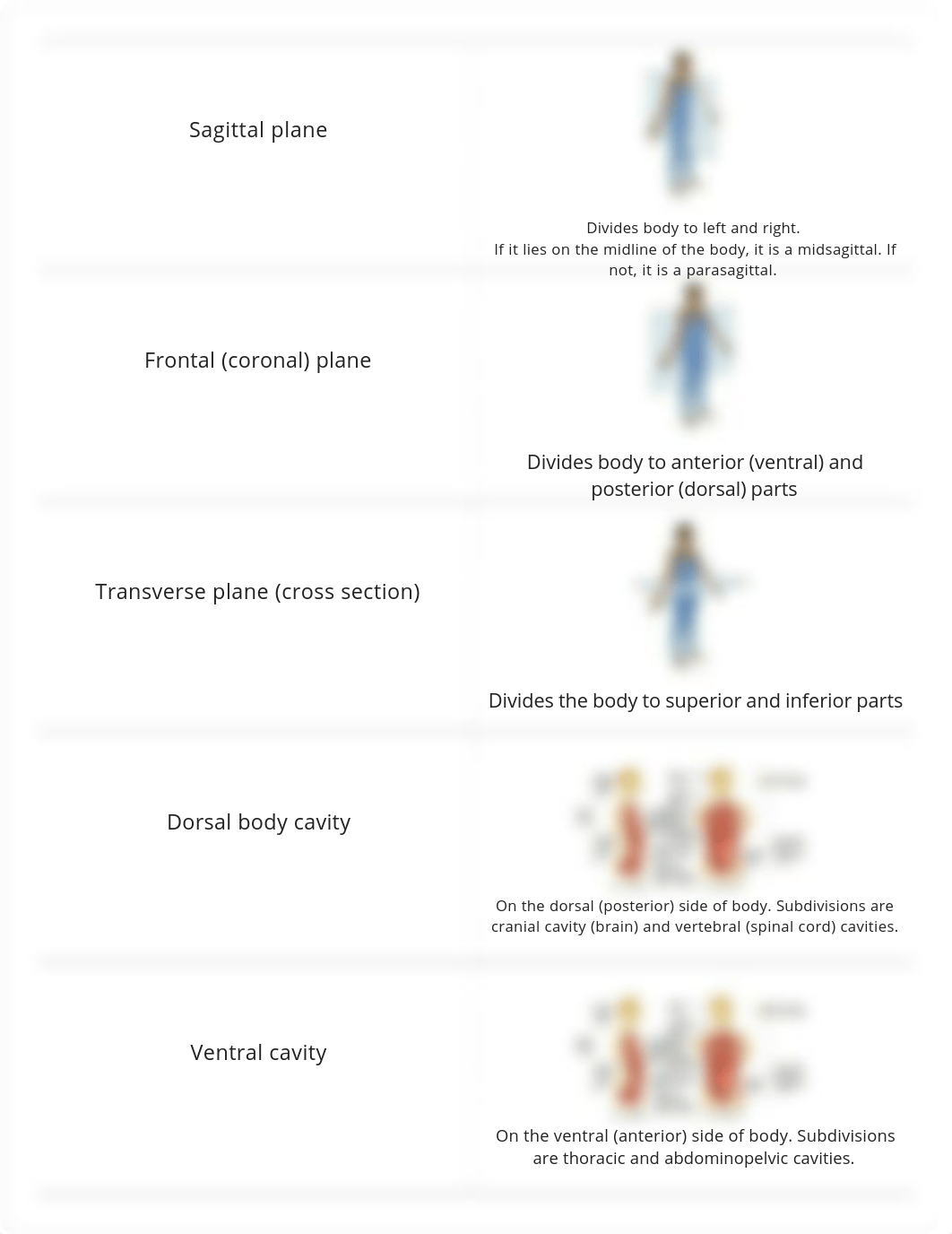 BIO 231 Exam 1 RIC BAUM_dsl0euky4m4_page4