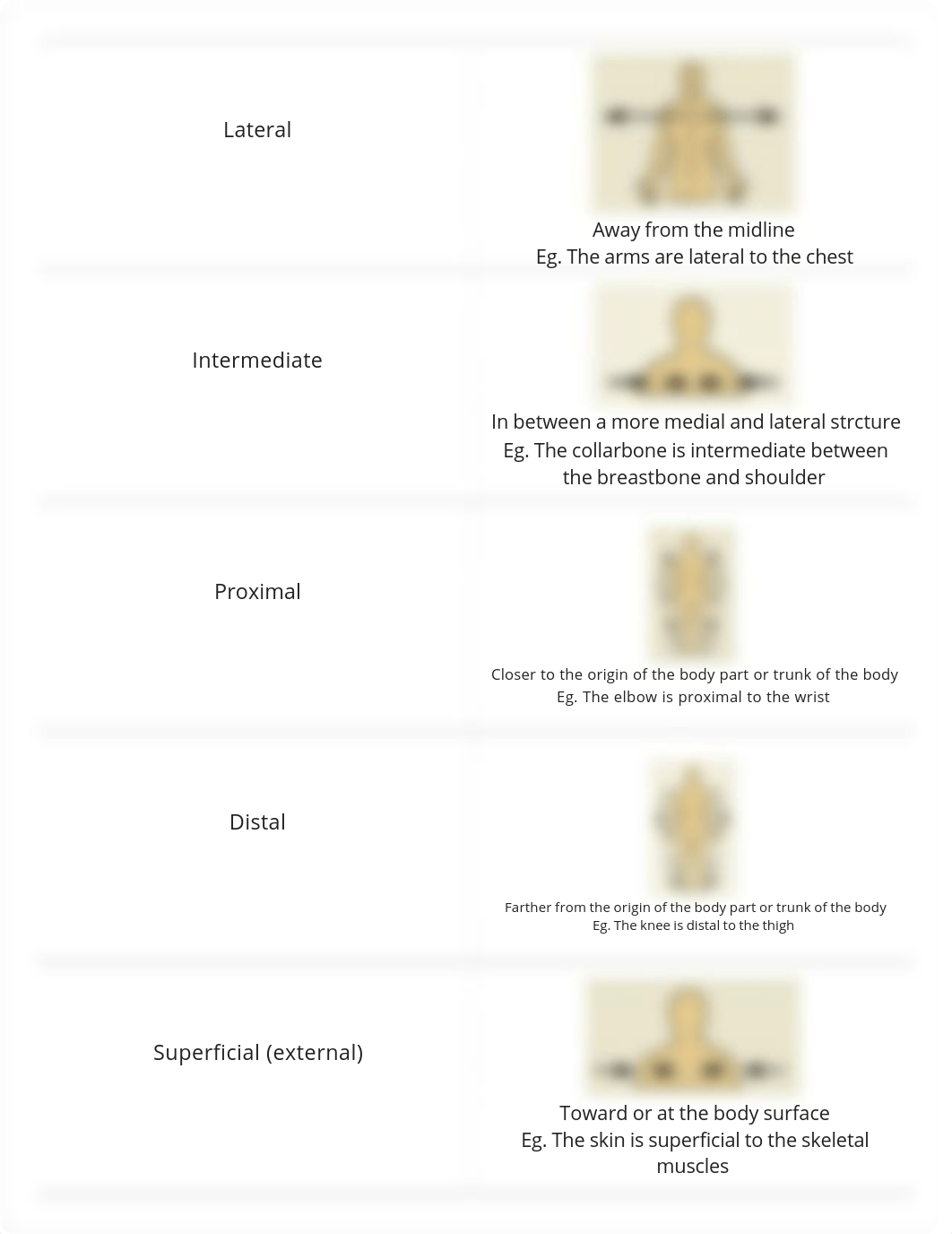 BIO 231 Exam 1 RIC BAUM_dsl0euky4m4_page2