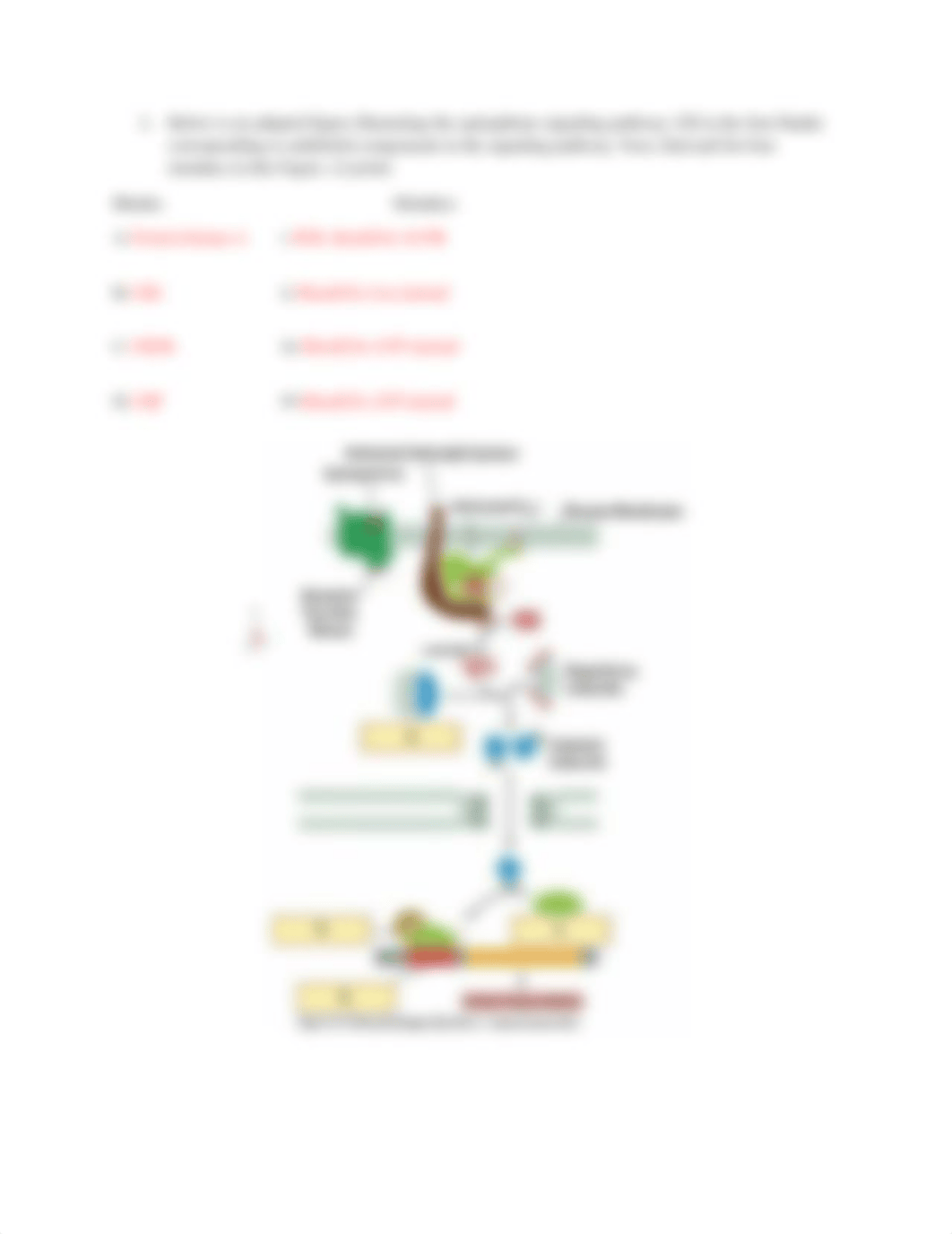 Lecture 28 preclass homework.docx_dsl5u8xtzcf_page2