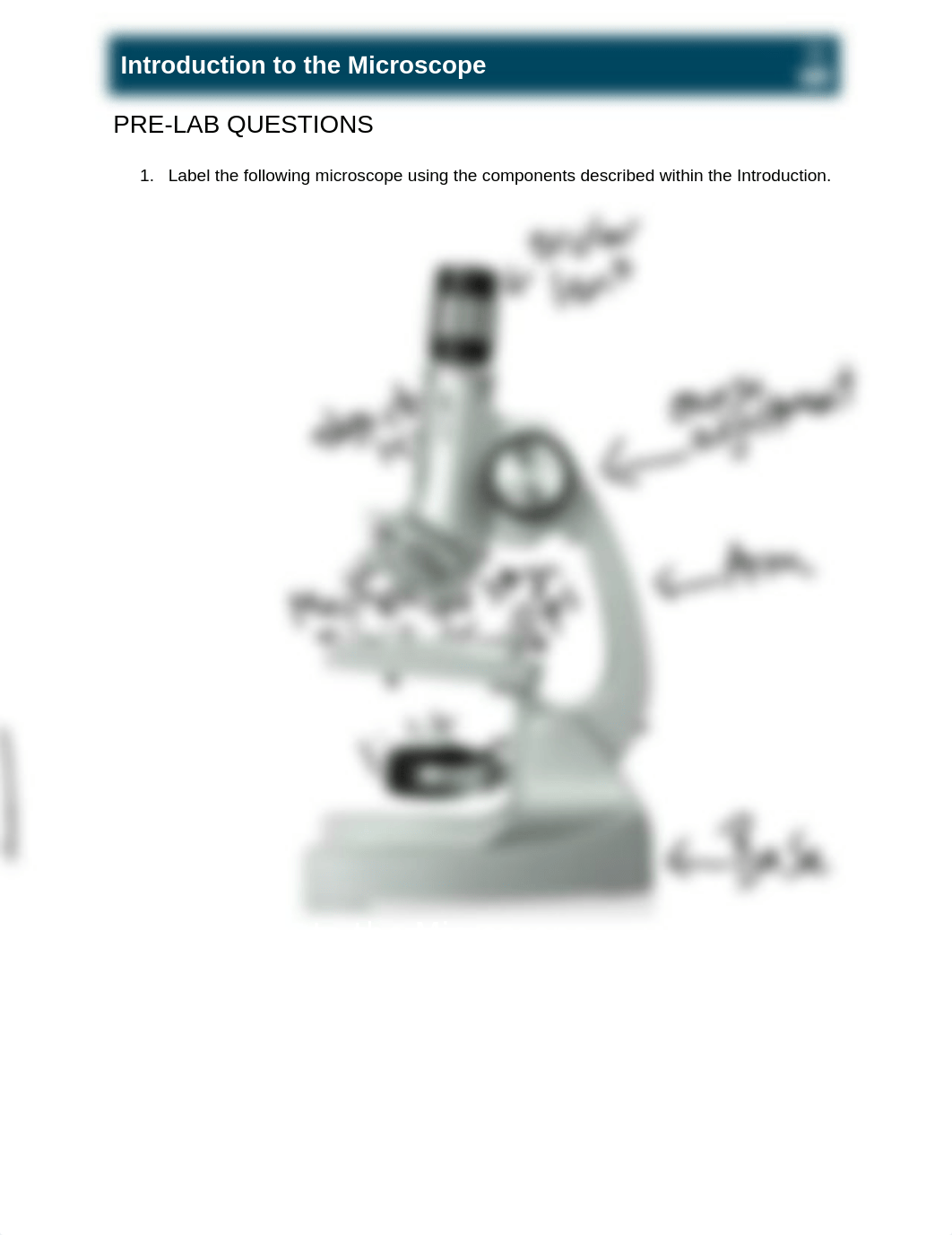 Intro Microscope.docx_dsl5z50ov9m_page1