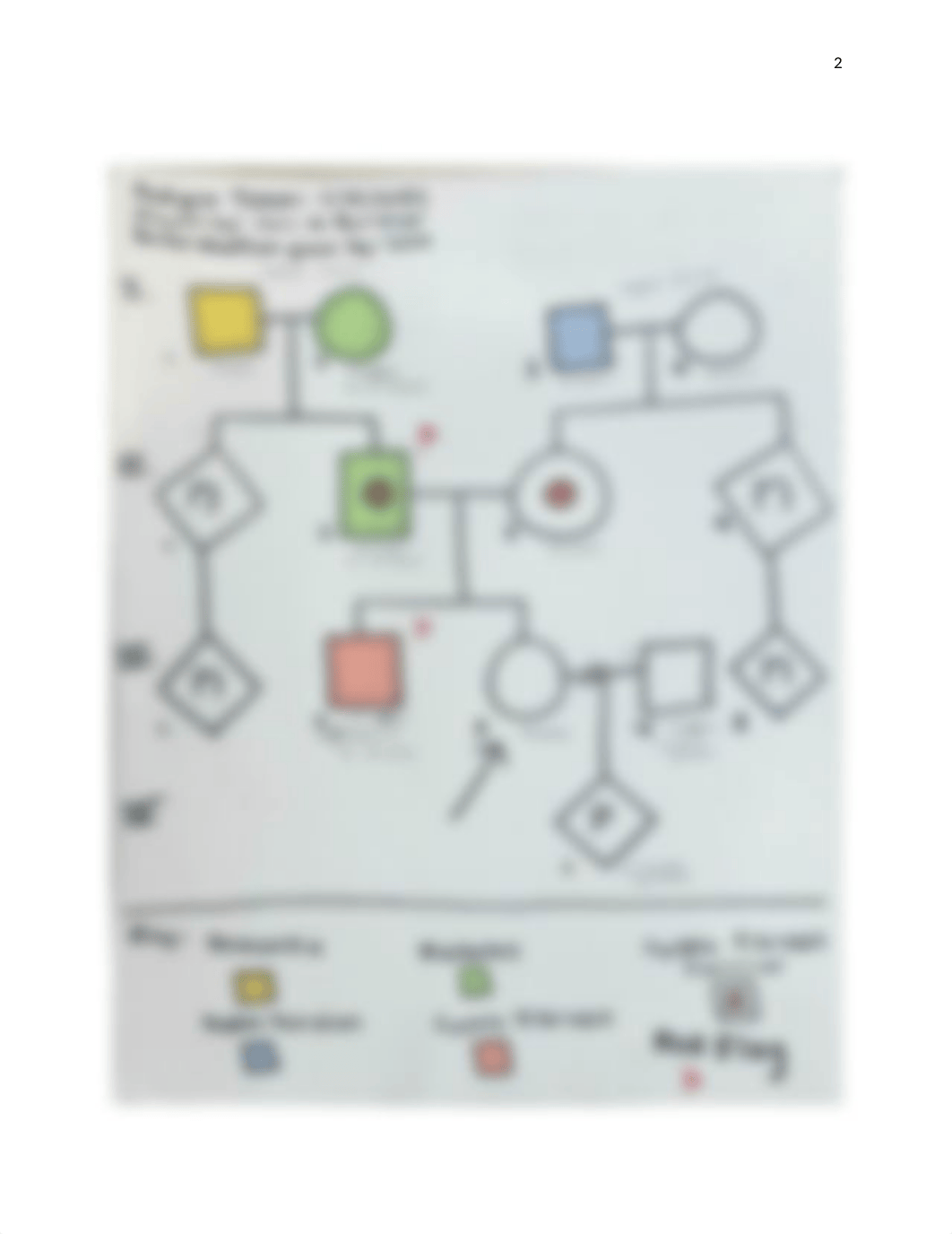 Lisa Pedigree.docx_dsl88xzekf3_page2