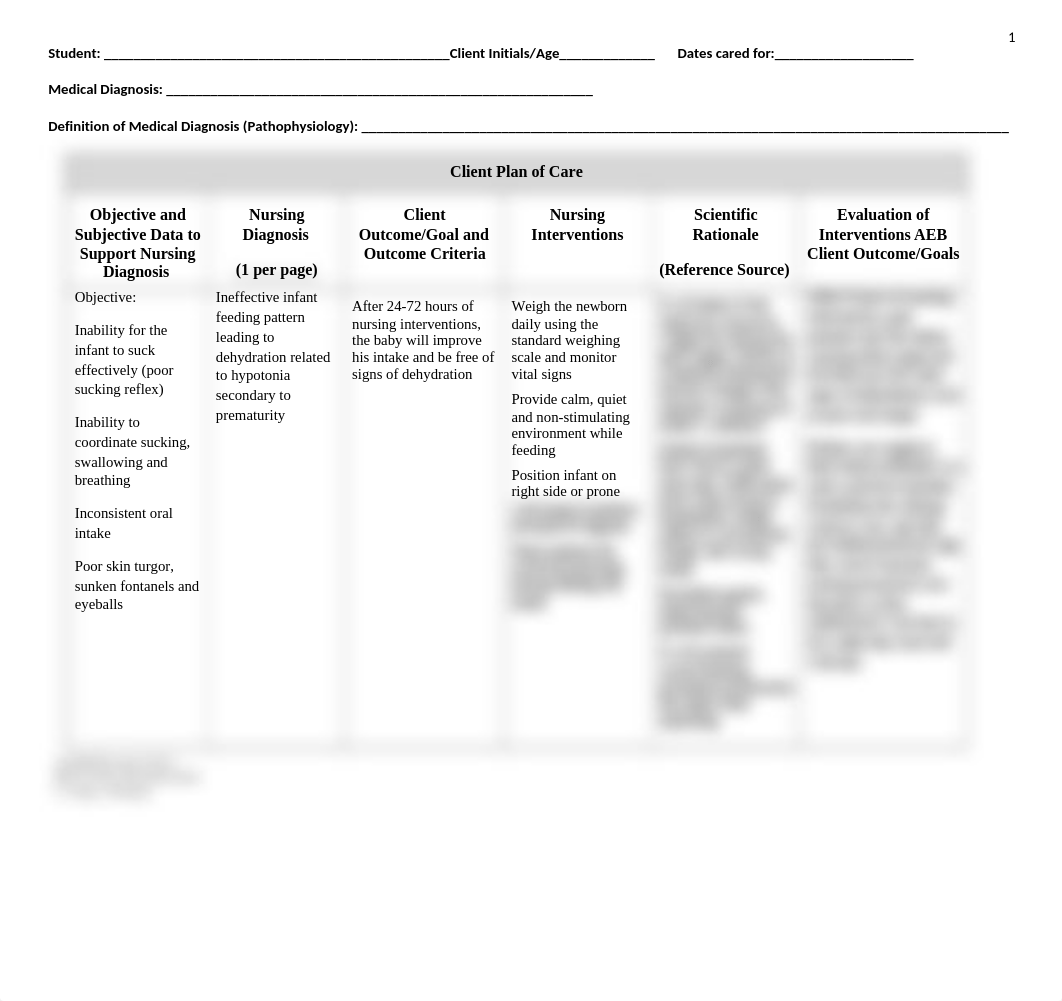 pedscareofplan1.docx_dsl8dgw19s0_page1