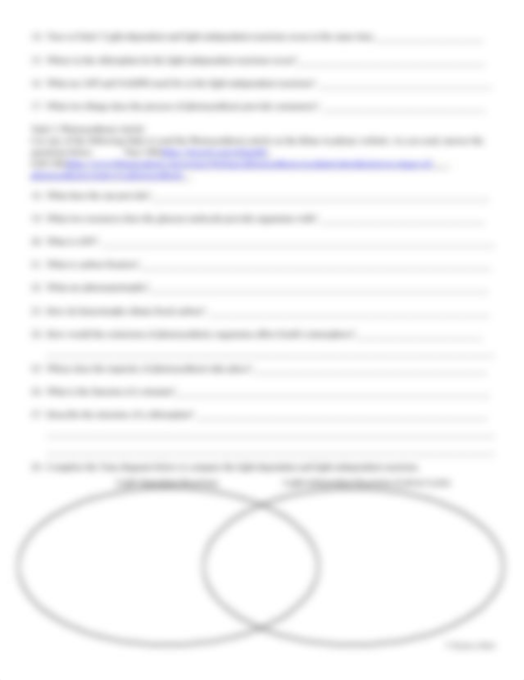 Photosynthesis WebQuest Student Handout.docx_dsl9ho0k6h9_page2