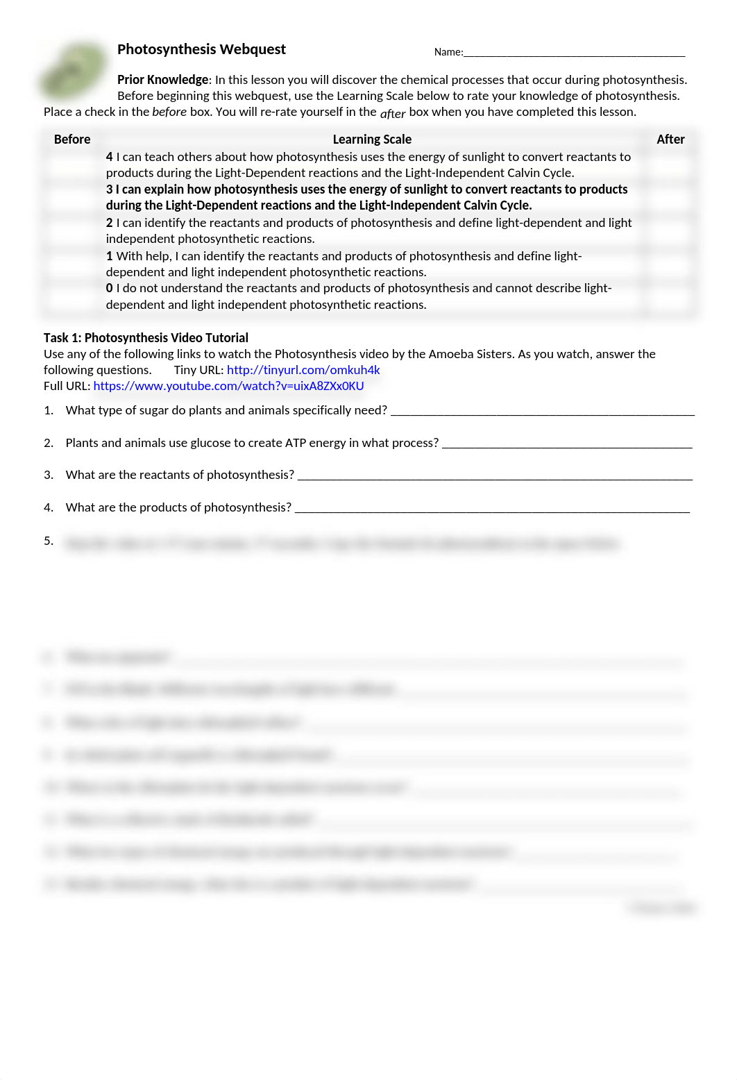 Photosynthesis WebQuest Student Handout.docx_dsl9ho0k6h9_page1