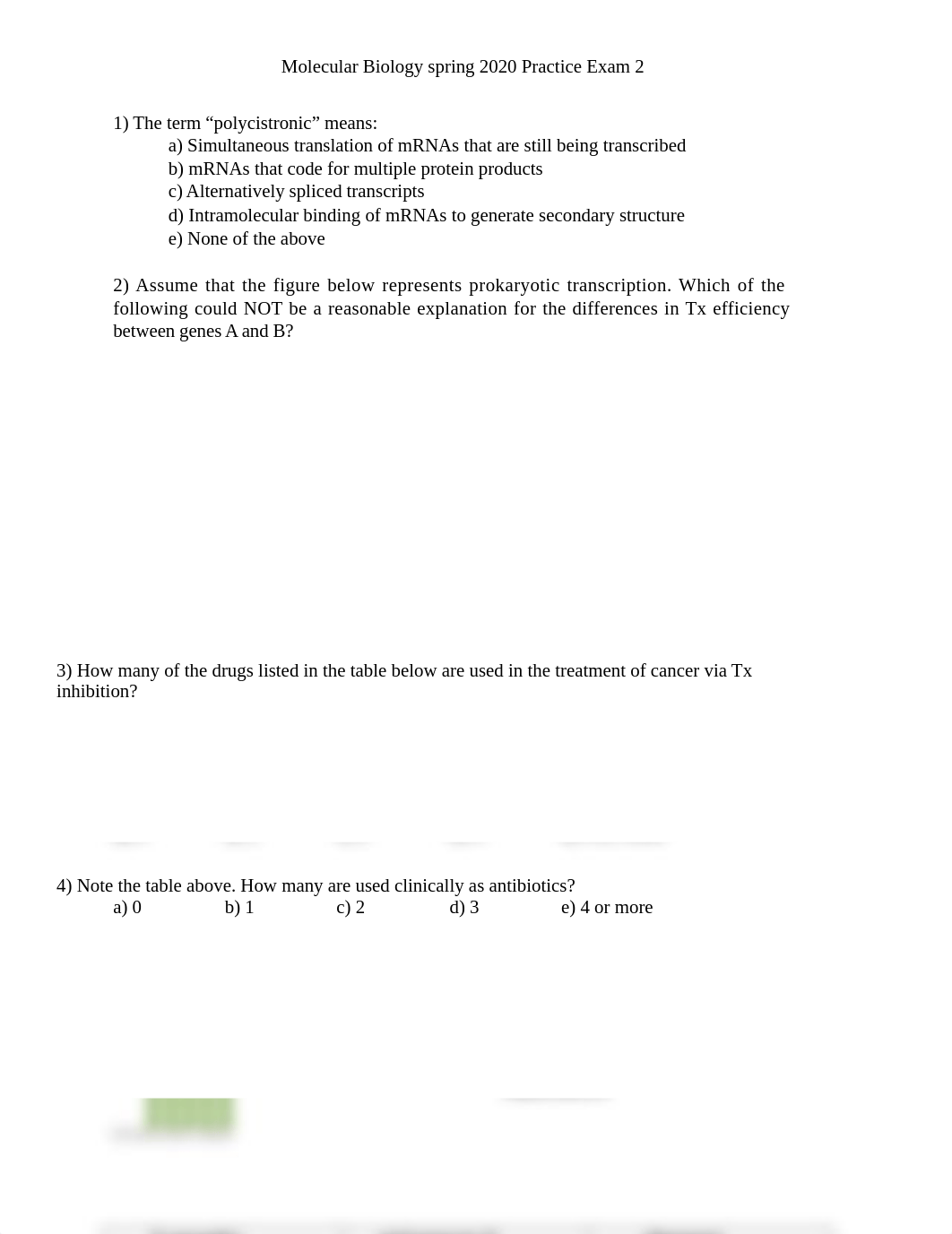 Mol Bio Spring 2020 Practice Exam 2 .docx_dslieturwfq_page1