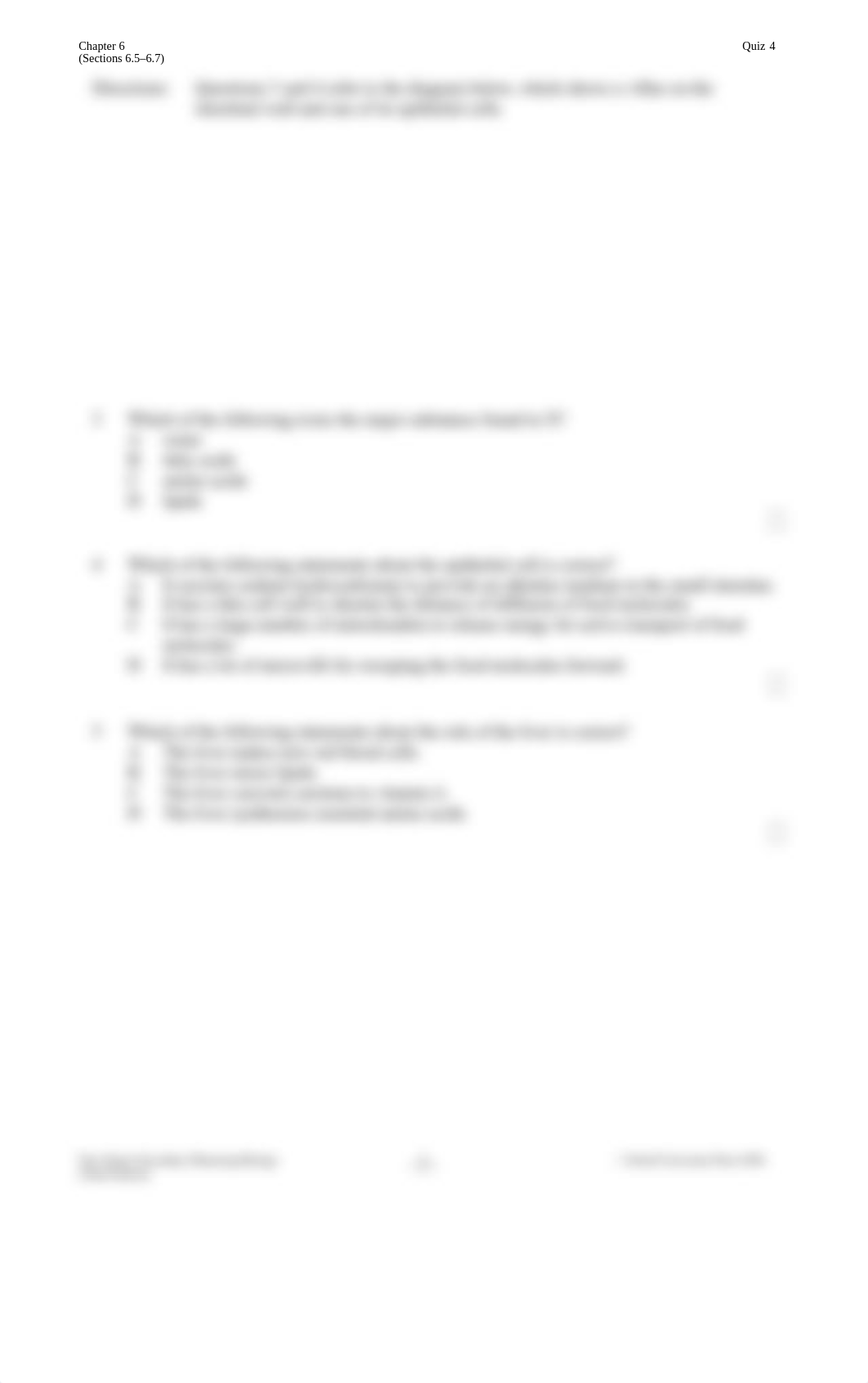 quiz4_1A_ch06_e.docx_dslli528cxo_page2