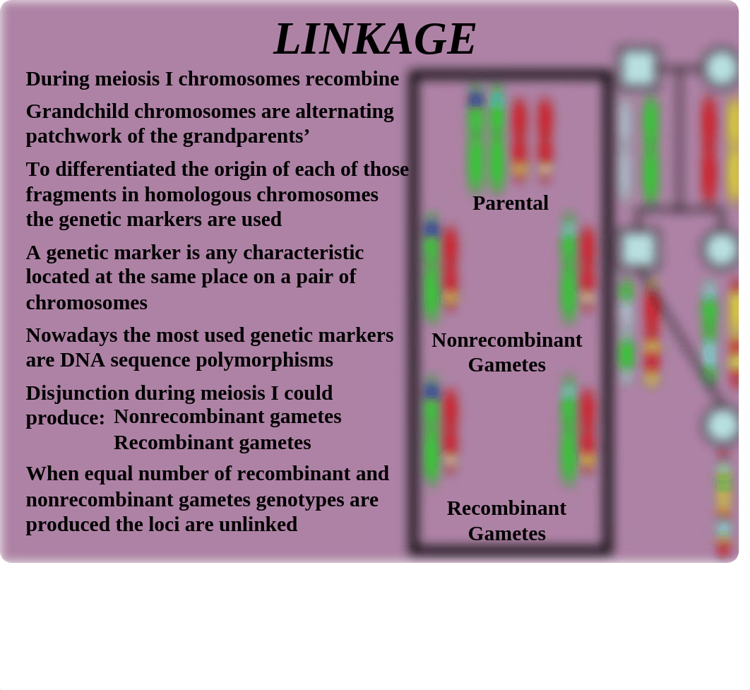 14 Gene mapping.ppt_dslndk2smvk_page5