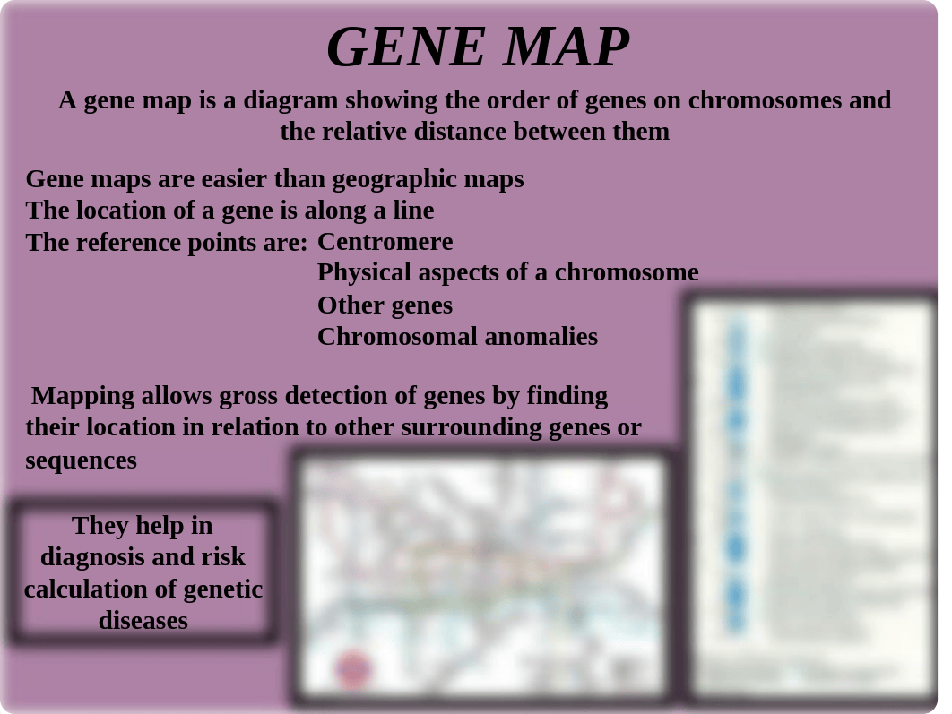 14 Gene mapping.ppt_dslndk2smvk_page3