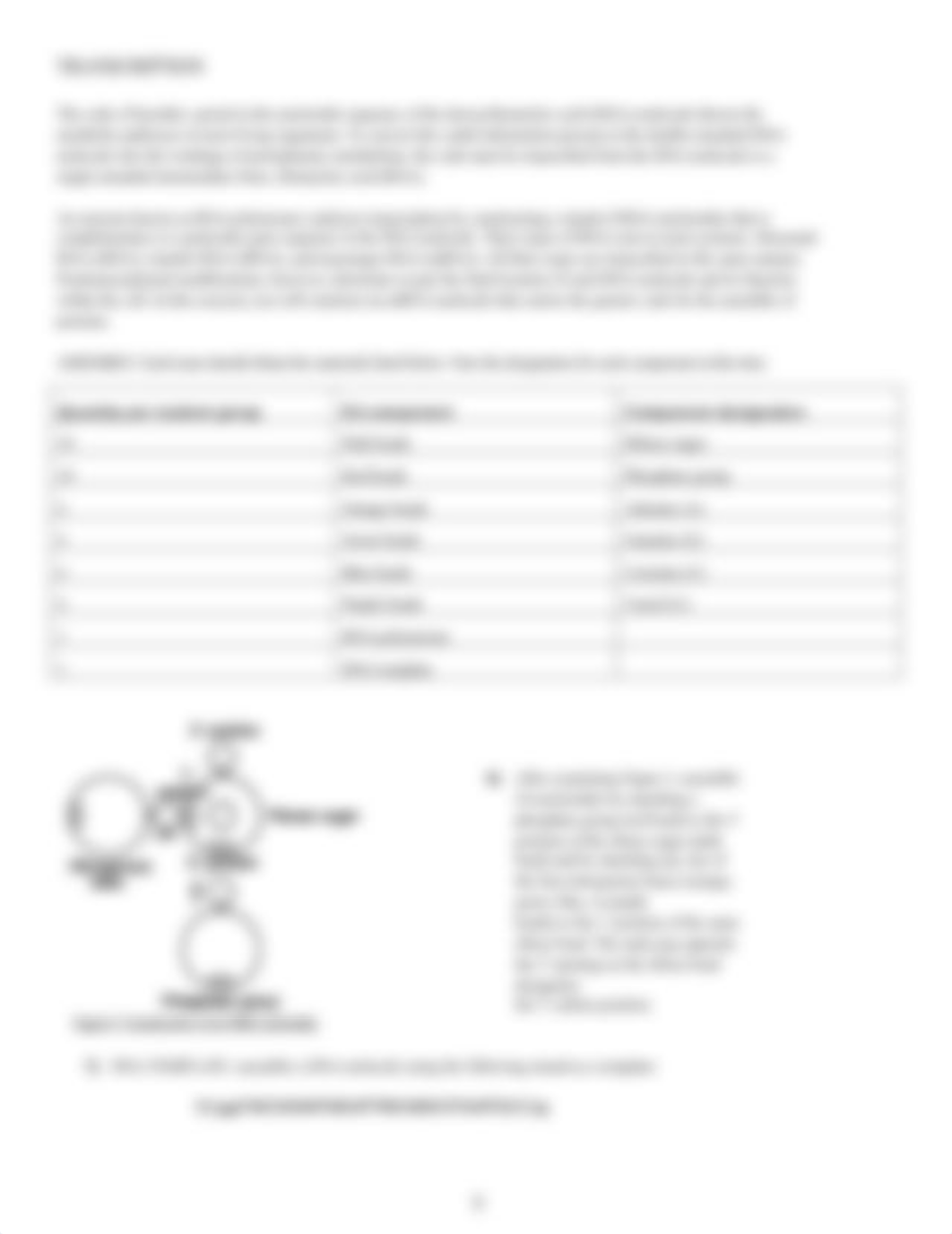 nucleic acids.pdf_dslrh53obd0_page3