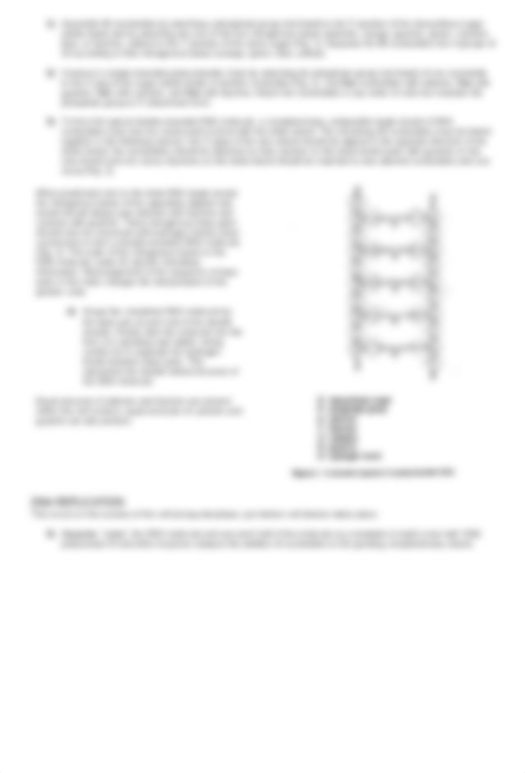 nucleic acids.pdf_dslrh53obd0_page2