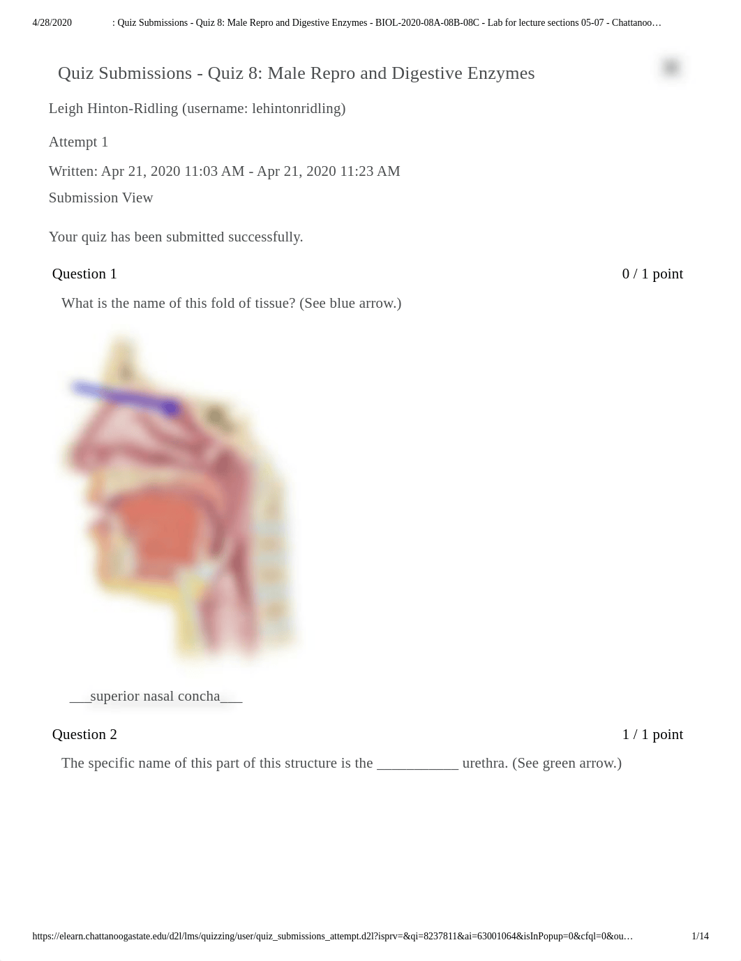 Lab Quiz 8.pdf_dslsc5mfmxl_page1