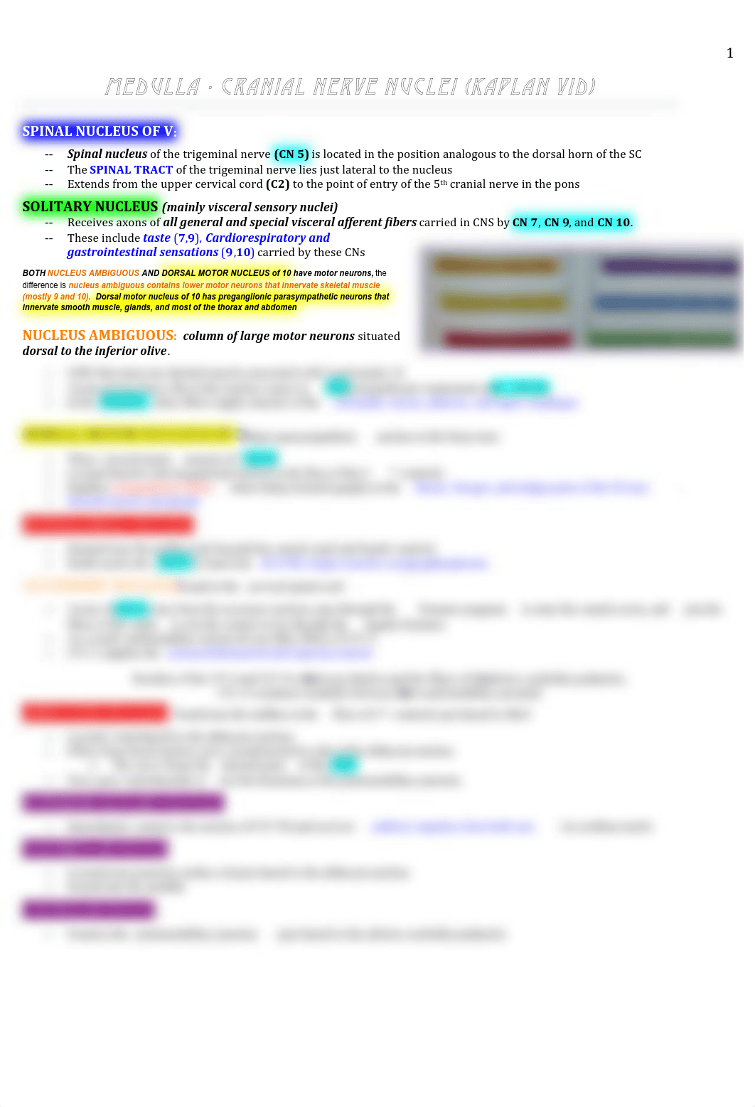 Neuro - Kaplan Notes - CN Nuclei and Medulla - BL_dsltn2ot0yg_page1