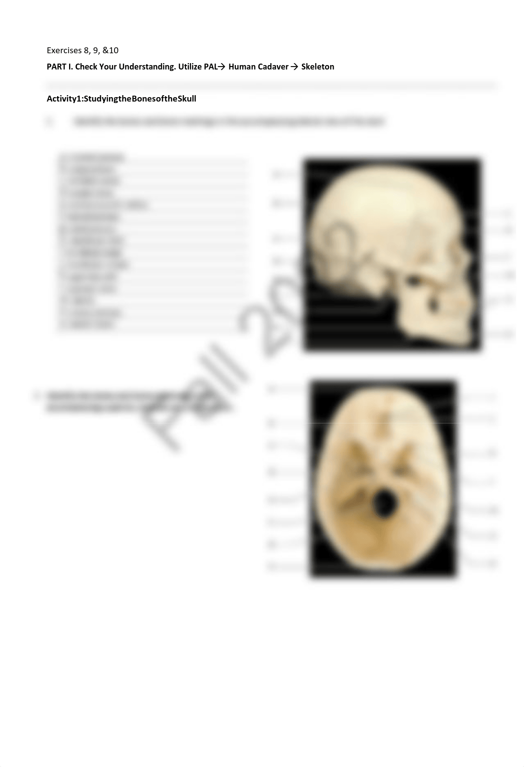 5. Unit 5 laboratory exercise 8, 9, & 10 EDIT Real.pdf_dslvbhetc37_page3