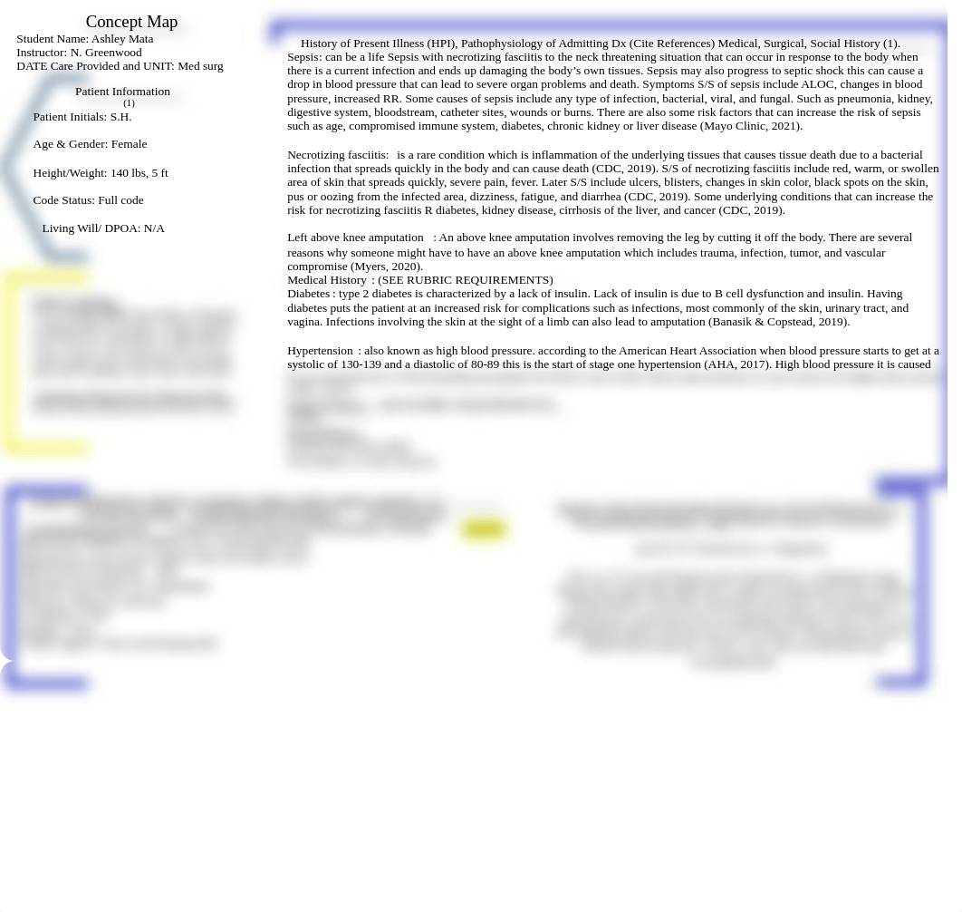 Nursing Concept Map.docx_dslvek2cb2f_page1