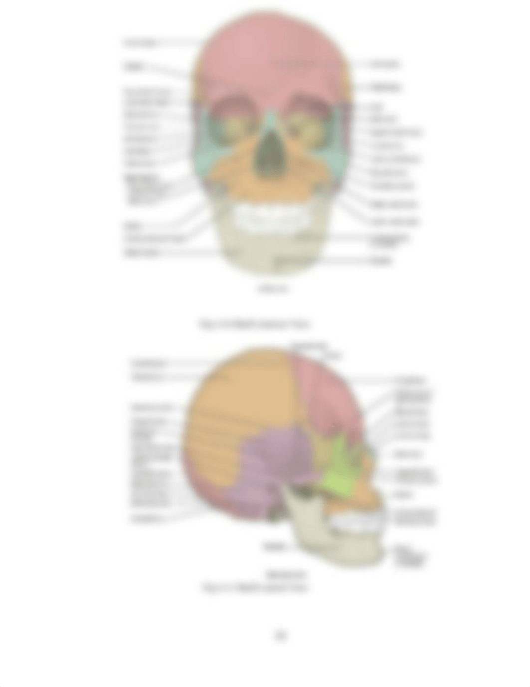 BIO 201 Lab 4B(1).docx_dslx8ovmgst_page3