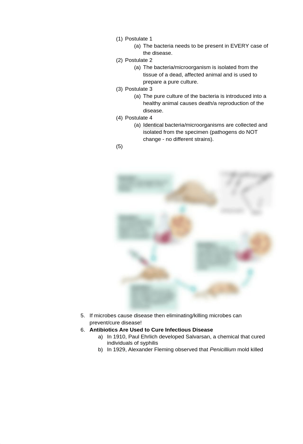 Copy of Medical Microbiology - Biology 207: Test 1_dsm4aw0001m_page2