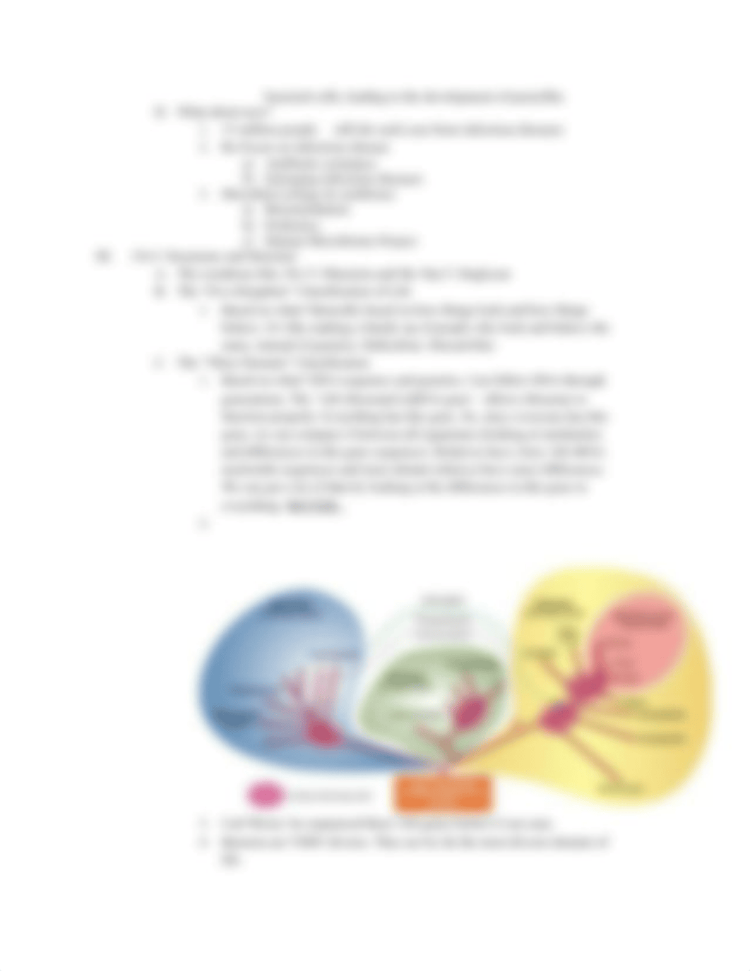 Copy of Medical Microbiology - Biology 207: Test 1_dsm4aw0001m_page3