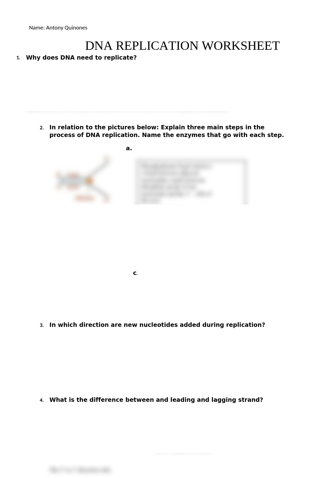 DNA Replication Worksheet GP13.docx_dsm5k2te2ll_page1