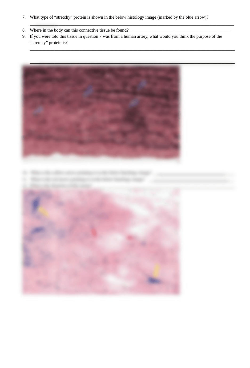 Histology_Lab_Assignment.docx_dsm5usbtw6m_page2