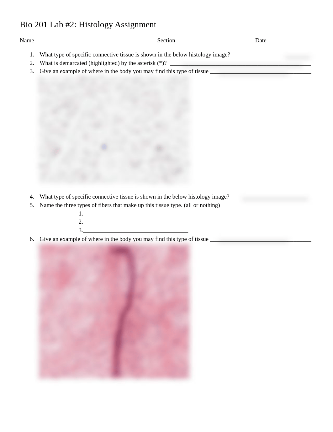 Histology_Lab_Assignment.docx_dsm5usbtw6m_page1