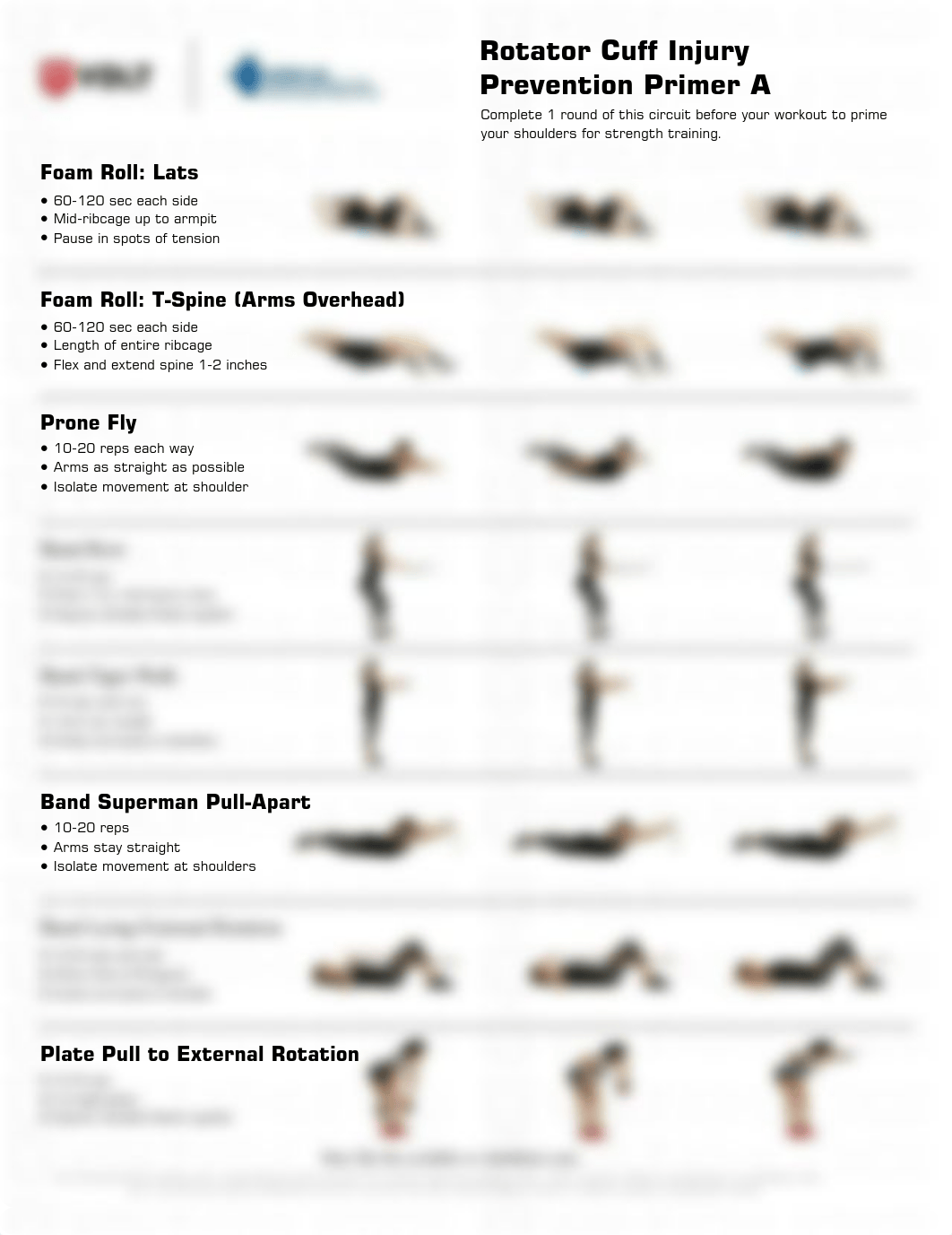 volt_rotator_cuff_injury_prevention_primer_dsm93iy08nt_page1