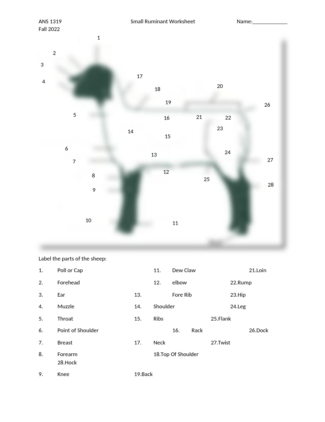 ANS1319_Fall2022_Assignment 5_Small Ruminant Worksheet.docx_dsm9bkk5giq_page1