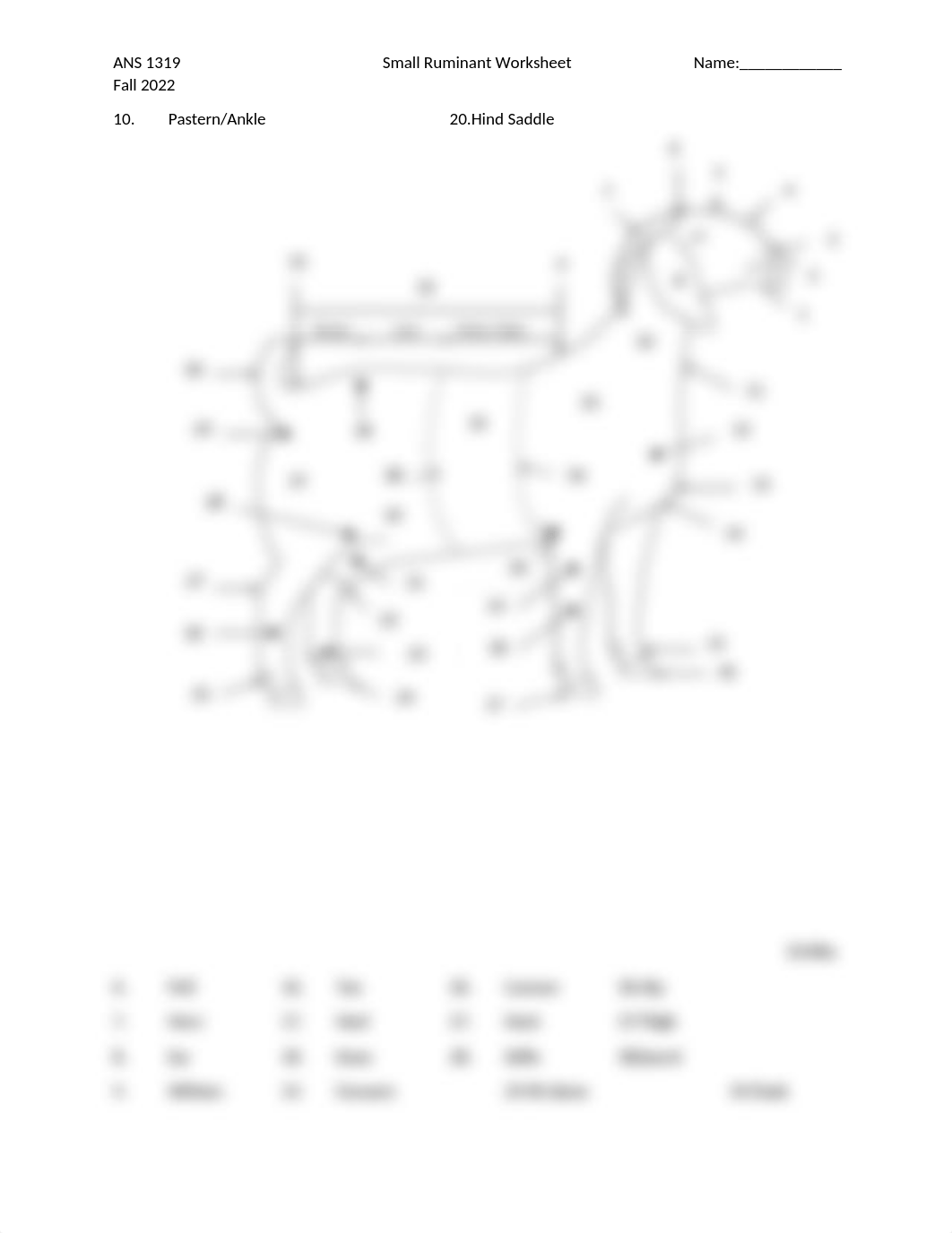 ANS1319_Fall2022_Assignment 5_Small Ruminant Worksheet.docx_dsm9bkk5giq_page2