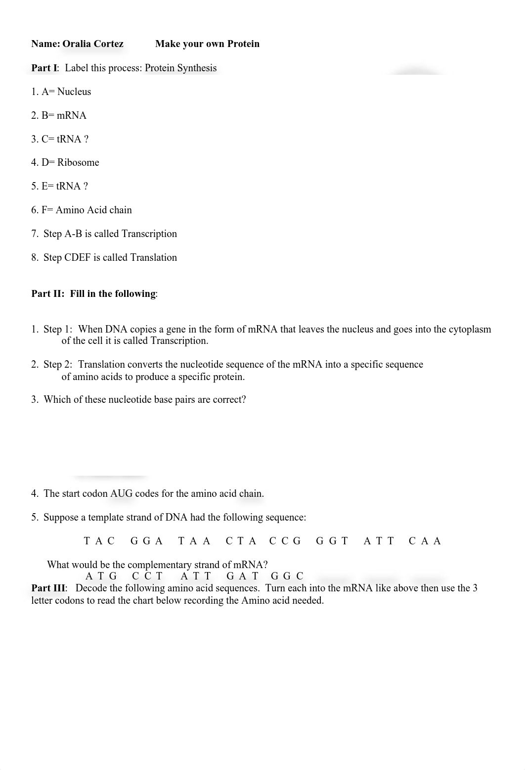 Oralia Cortez make your own protein model.pdf_dsmah0j10qq_page1