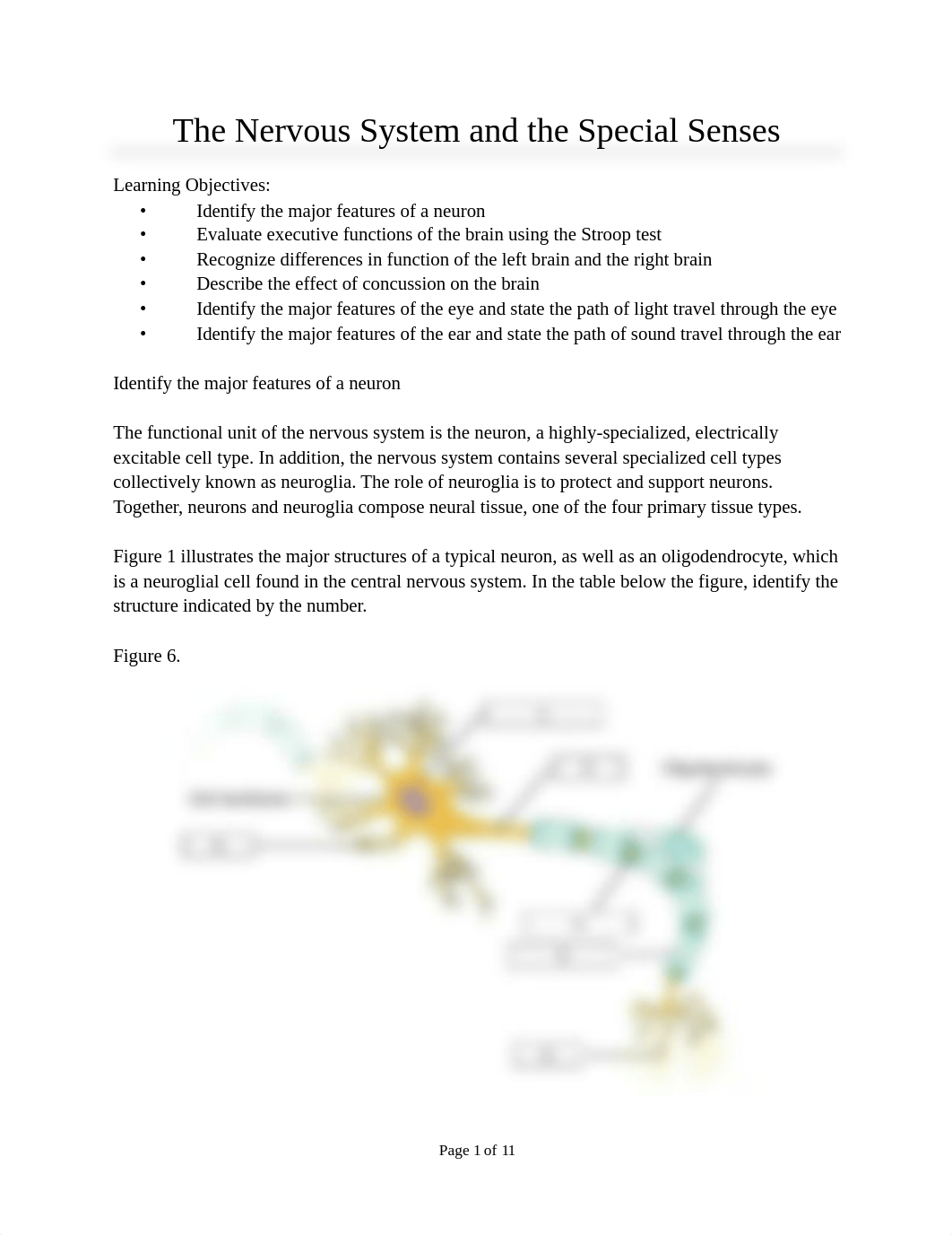 HBescher Lab 8- The Nervous System and the Special Senses.docx_dsmaplkft92_page1